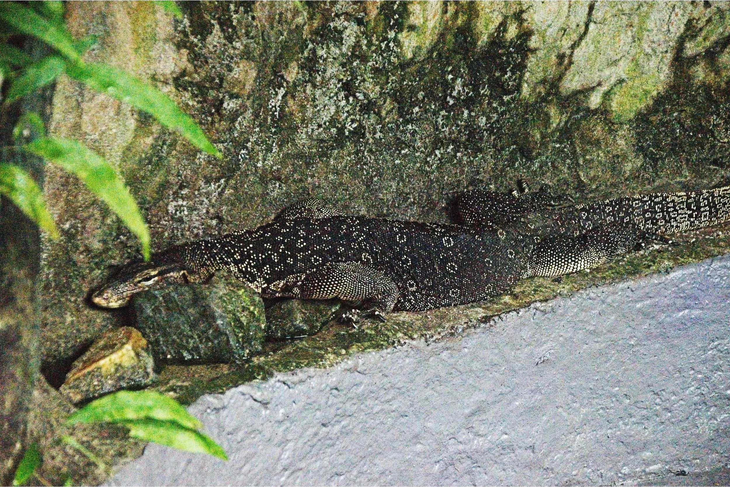DSC_0603.jpg