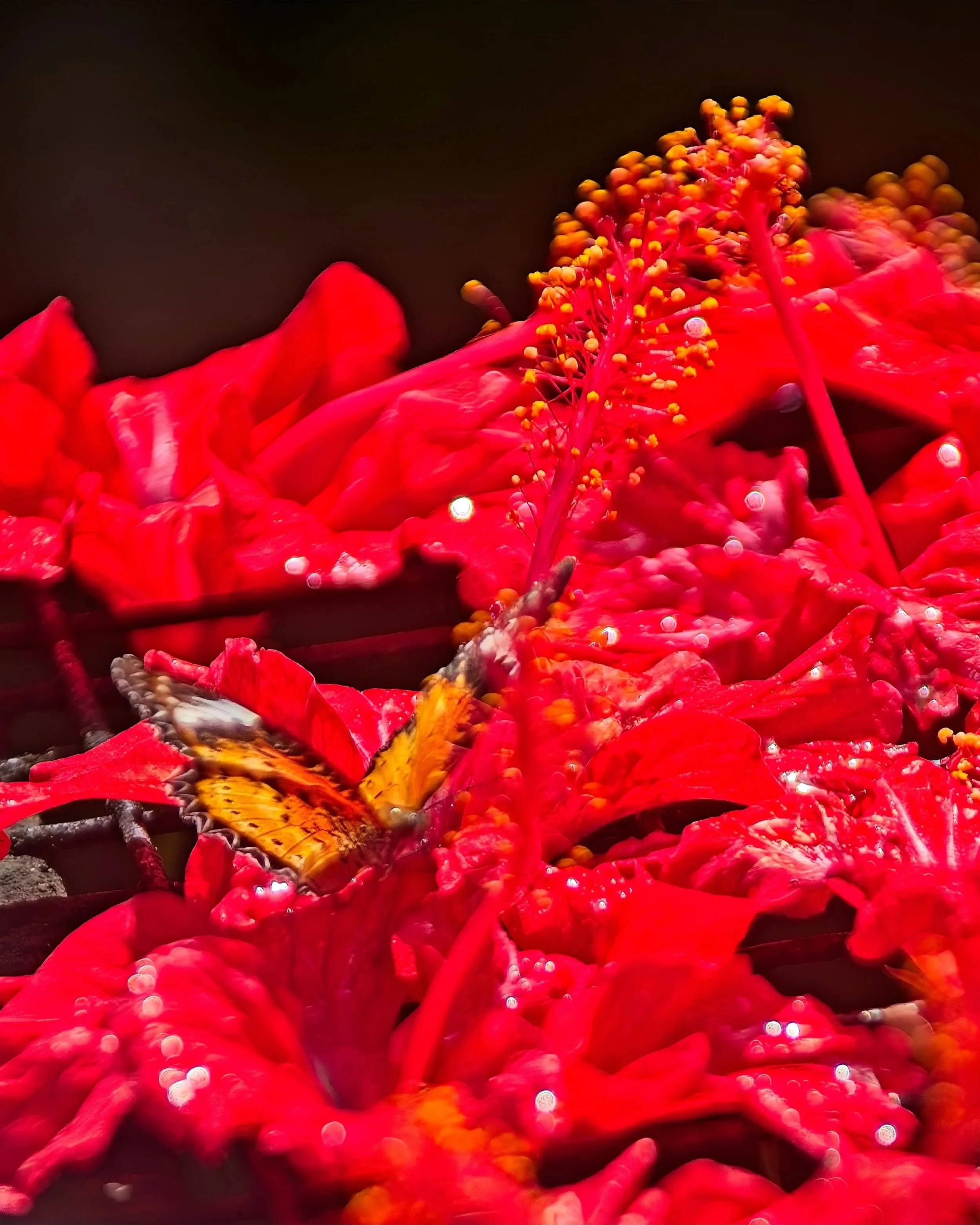 DSC_0613.jpg