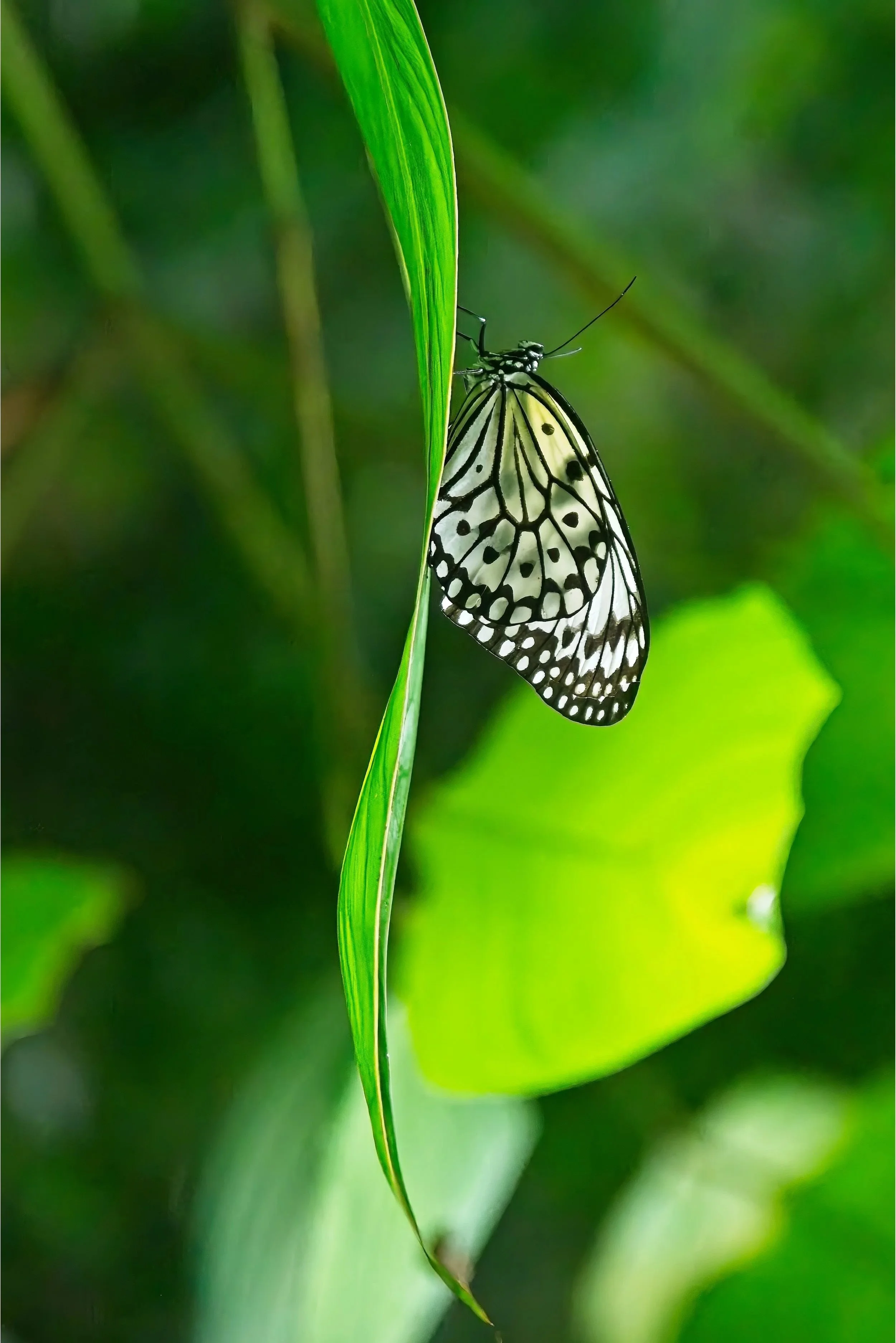 DSC_0630.jpg
