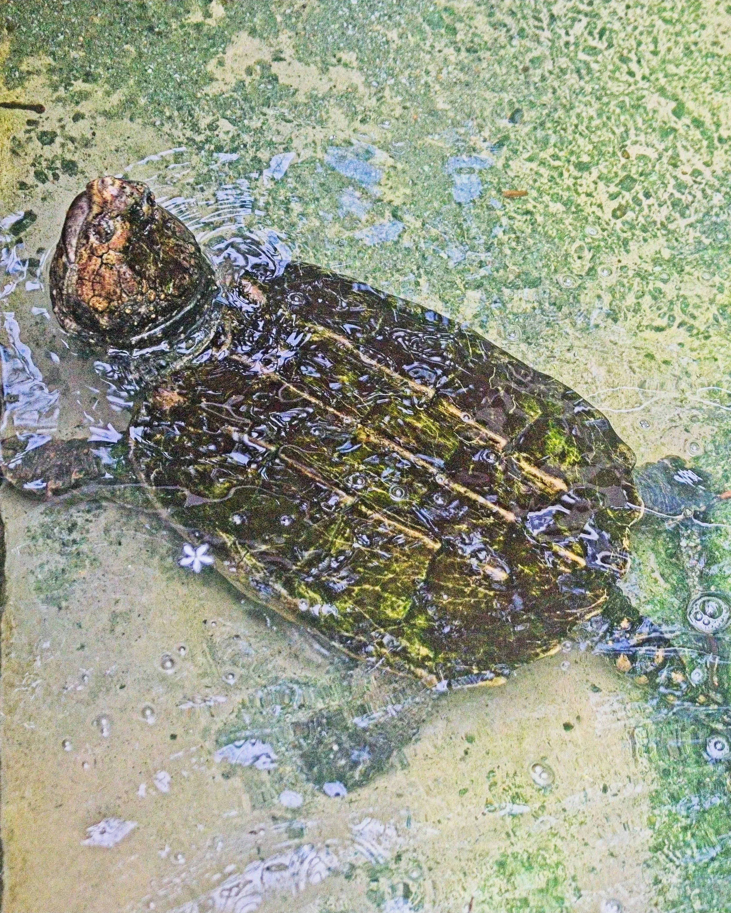 DSC_0634.jpg
