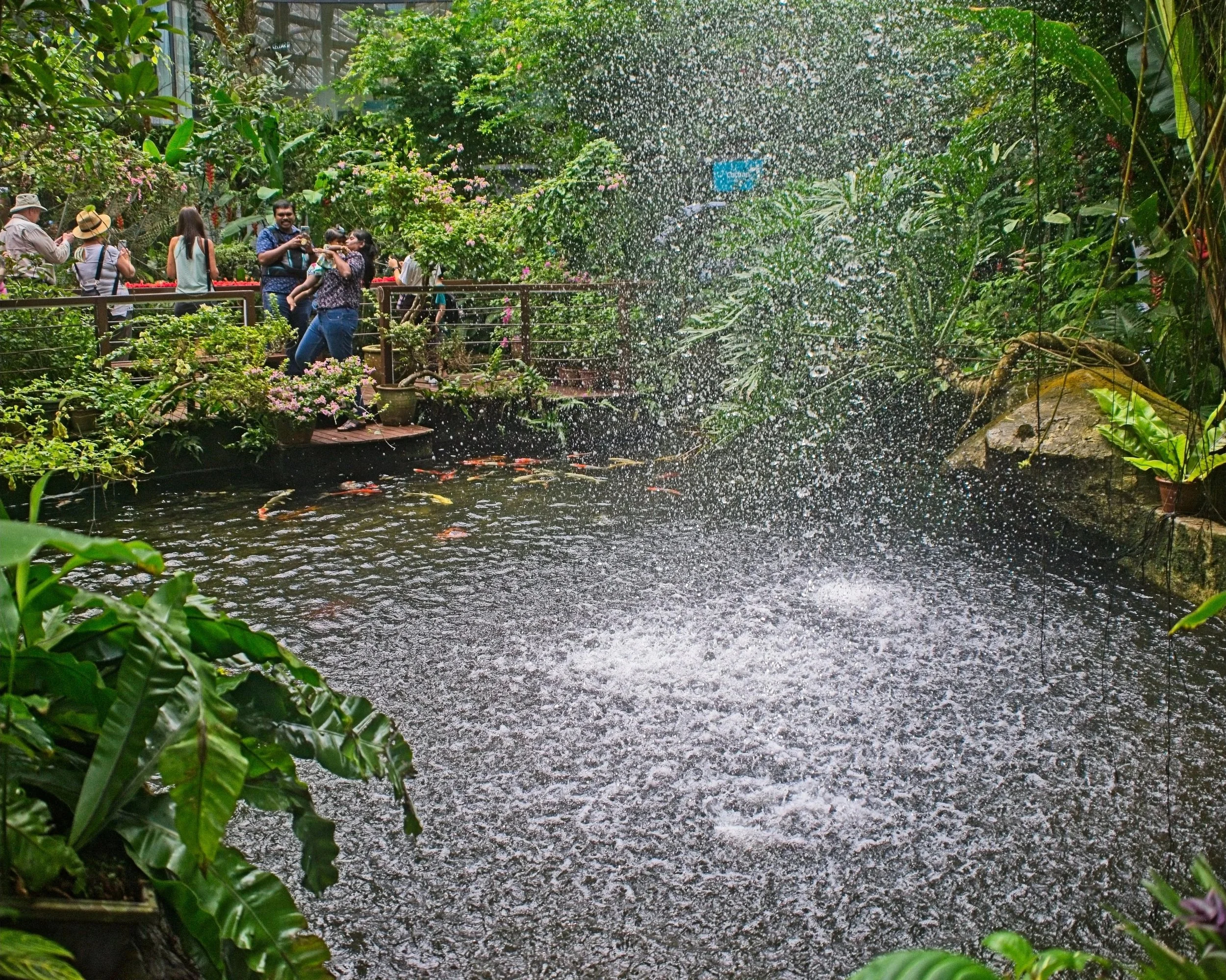 DSC_0636.jpg