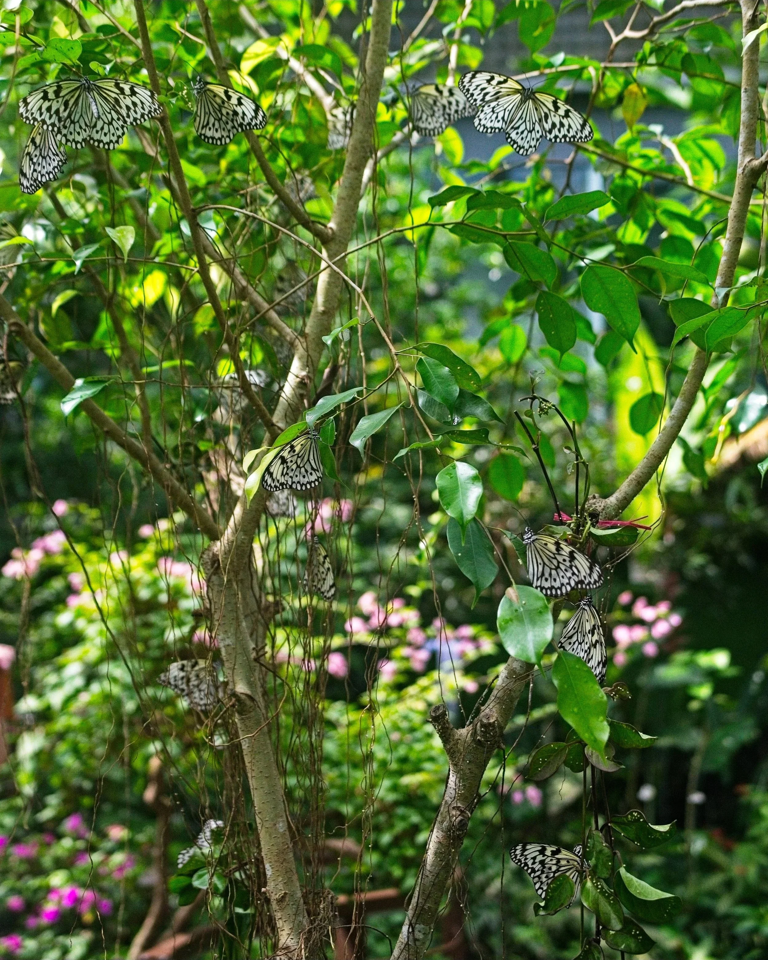 DSC_0638.jpg