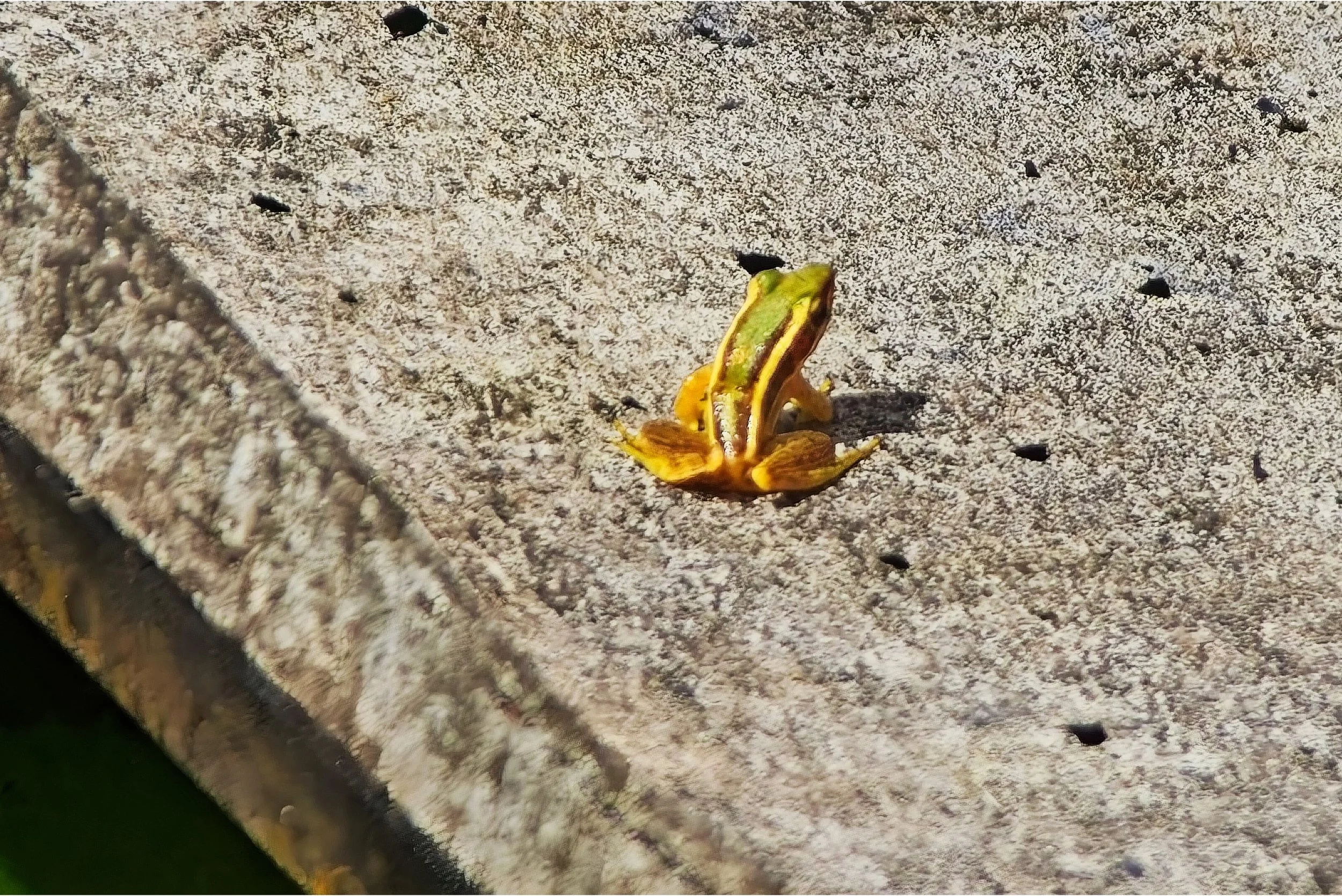 DSC_0642.jpg