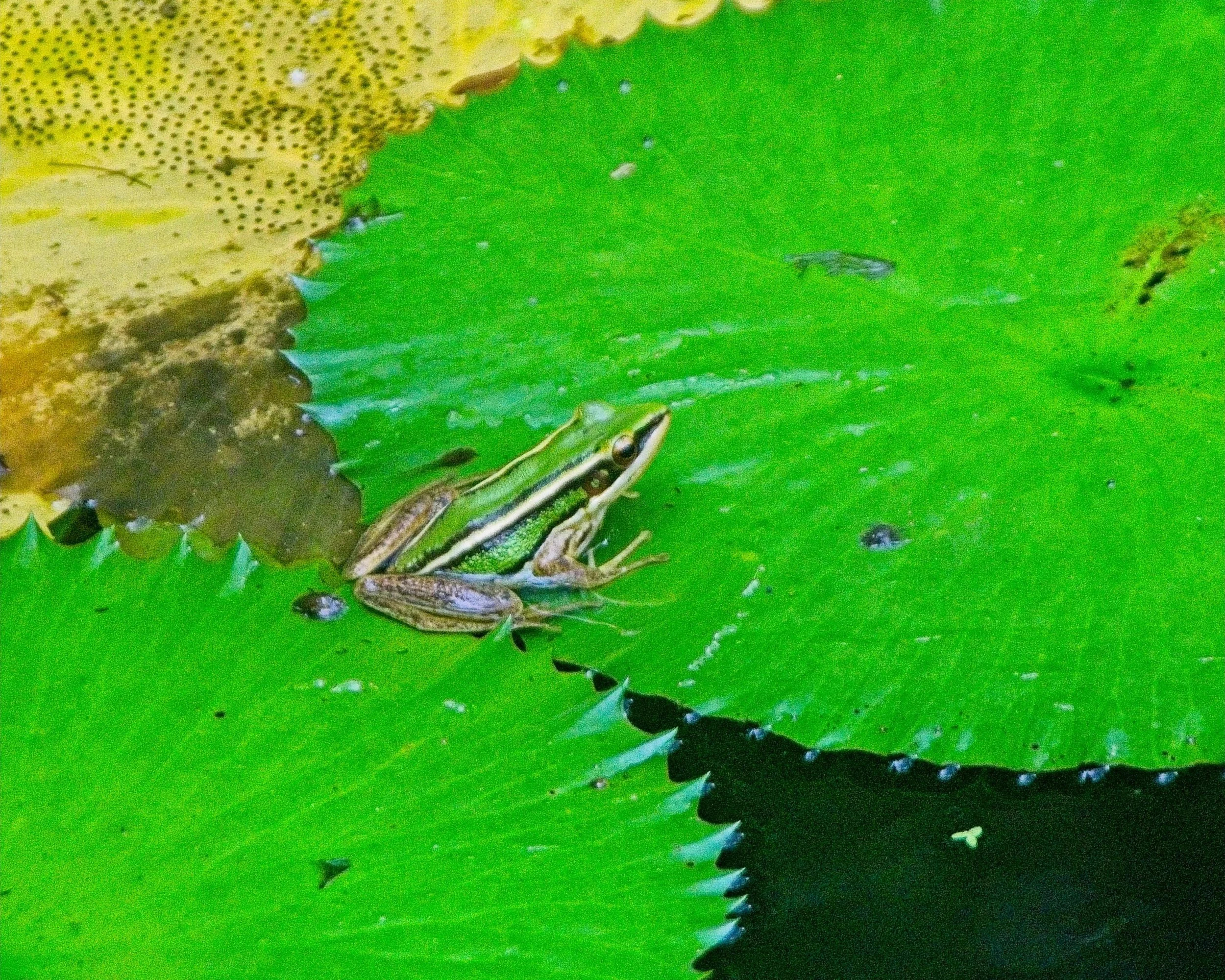 DSC_0645.jpg