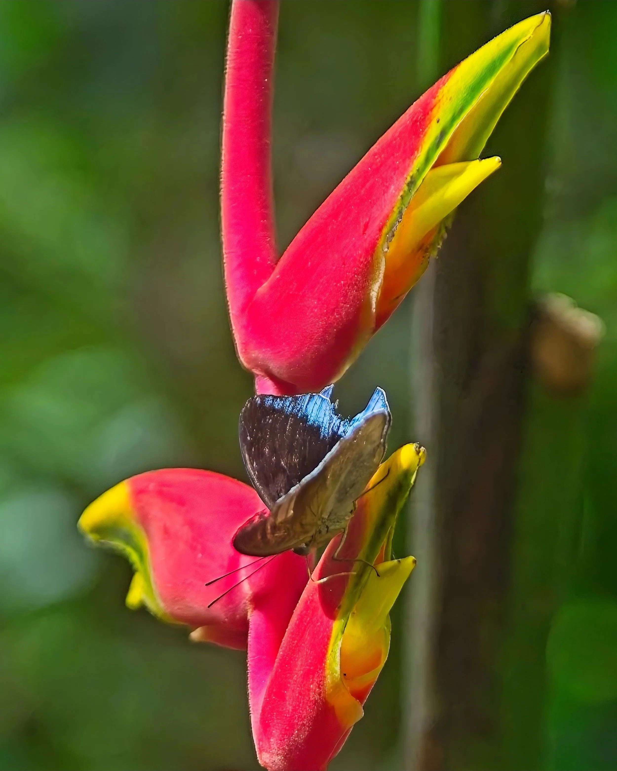DSC_0647.jpg