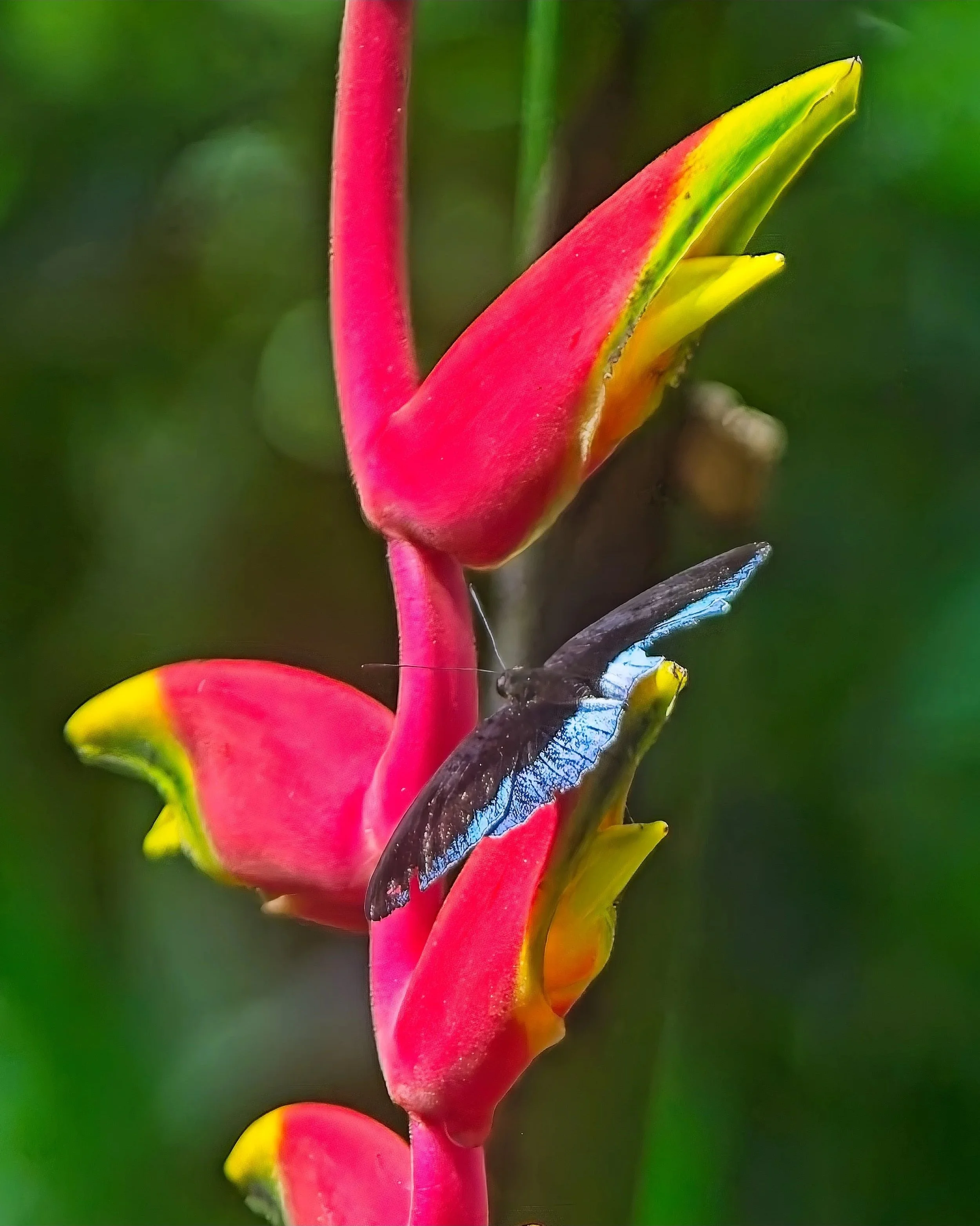 DSC_0649.jpg