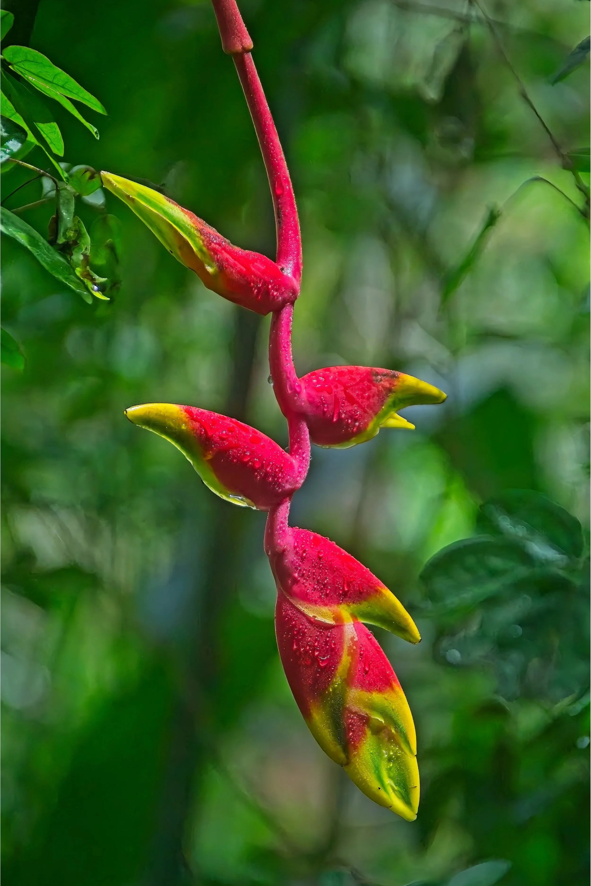 DSC_0651.jpg