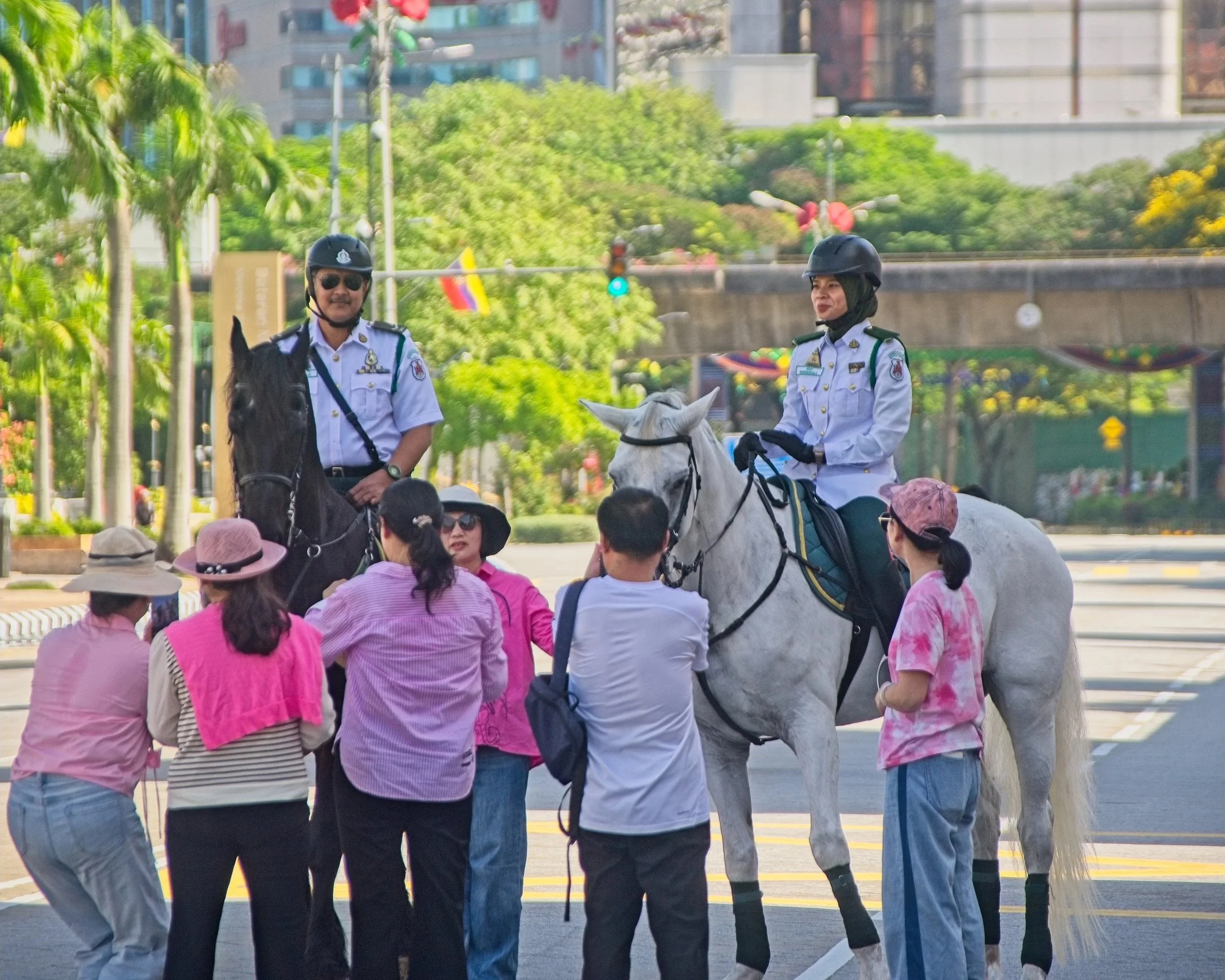The police horses are a firm tourist attraction