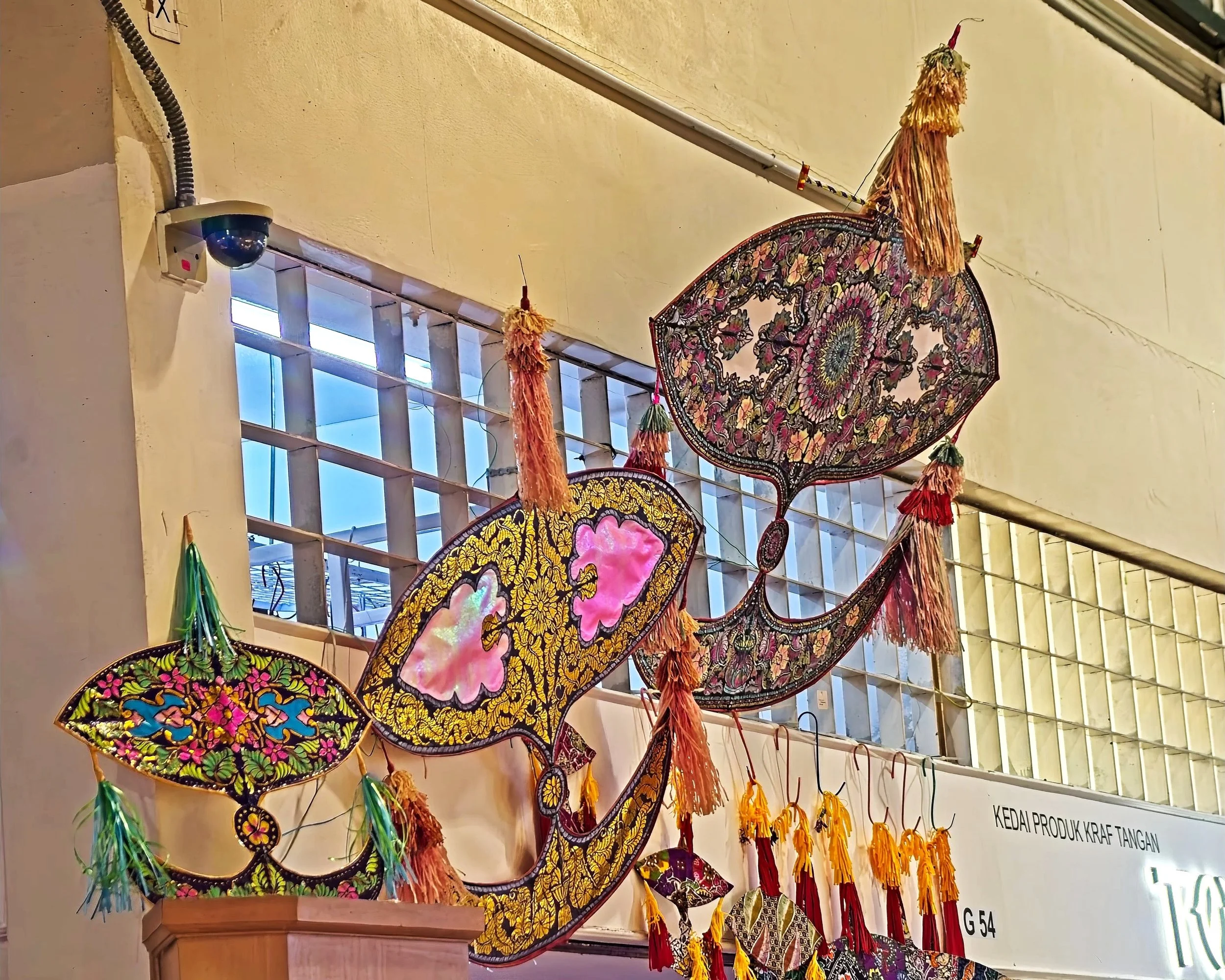 Fighting Kites