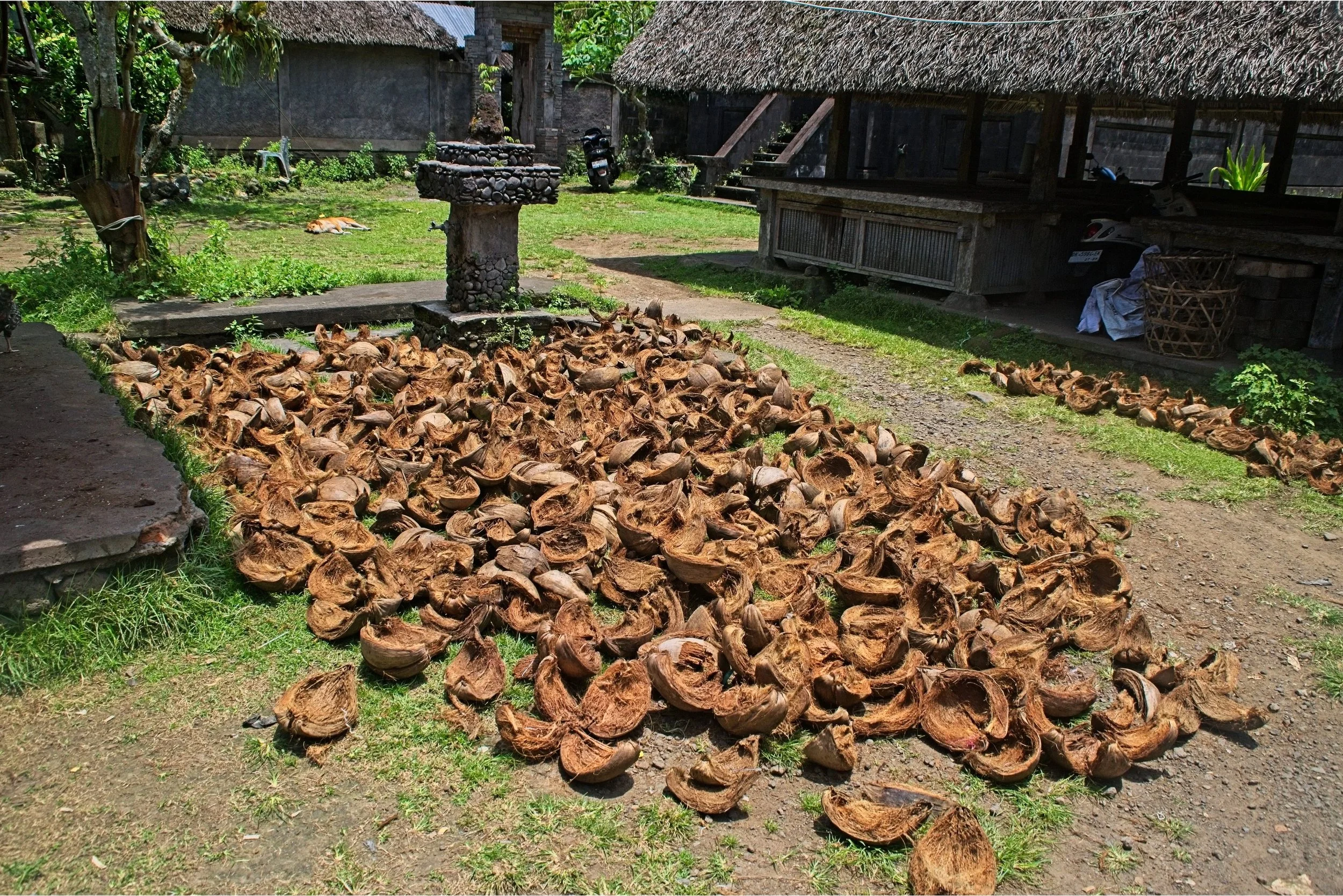 DSC_1111.jpg