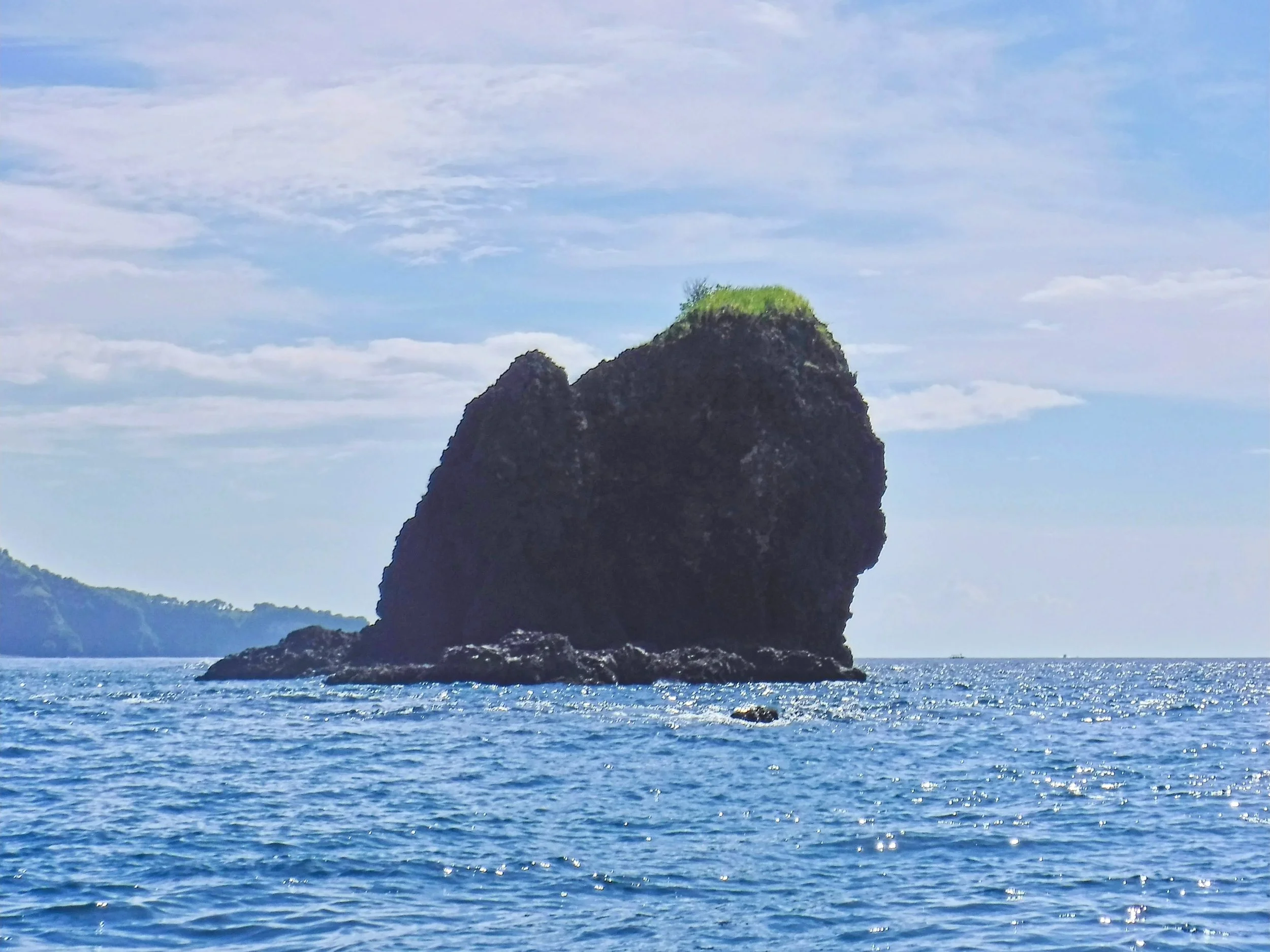 DSCF6008.jpg