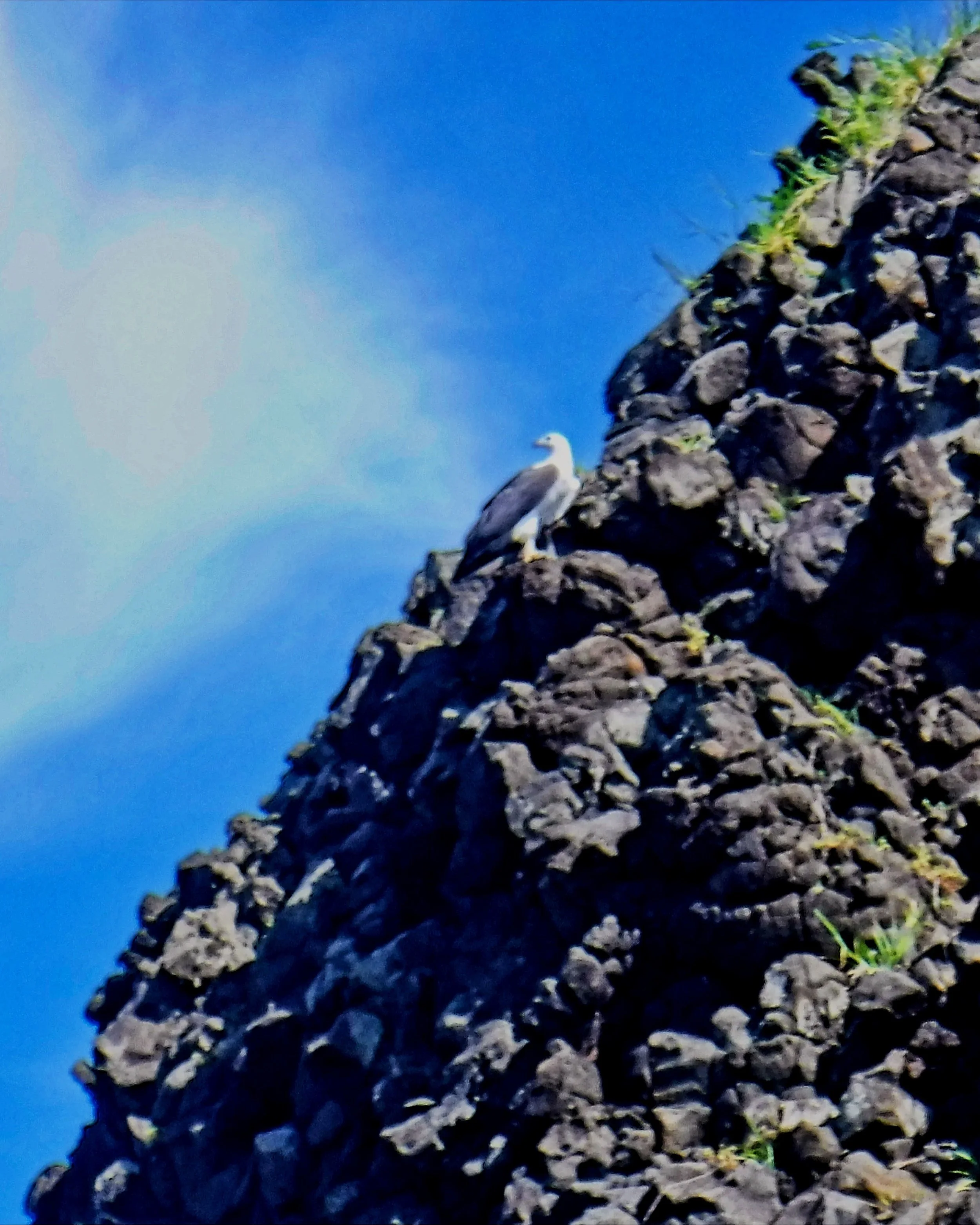 DSCF6012.jpg
