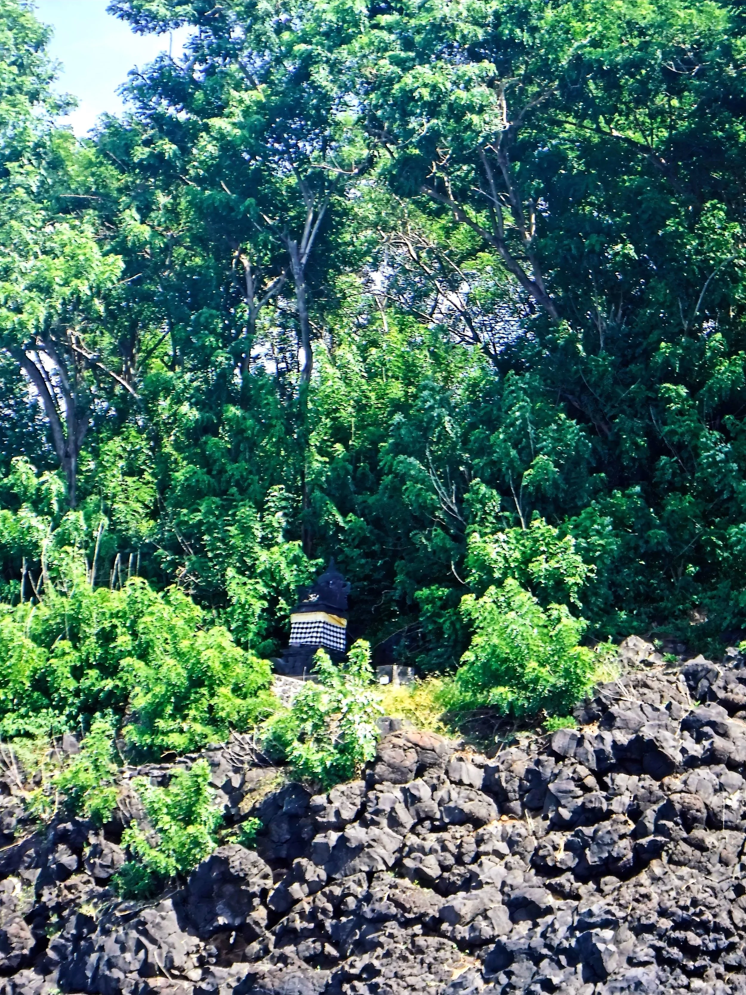 DSCF6017.jpg