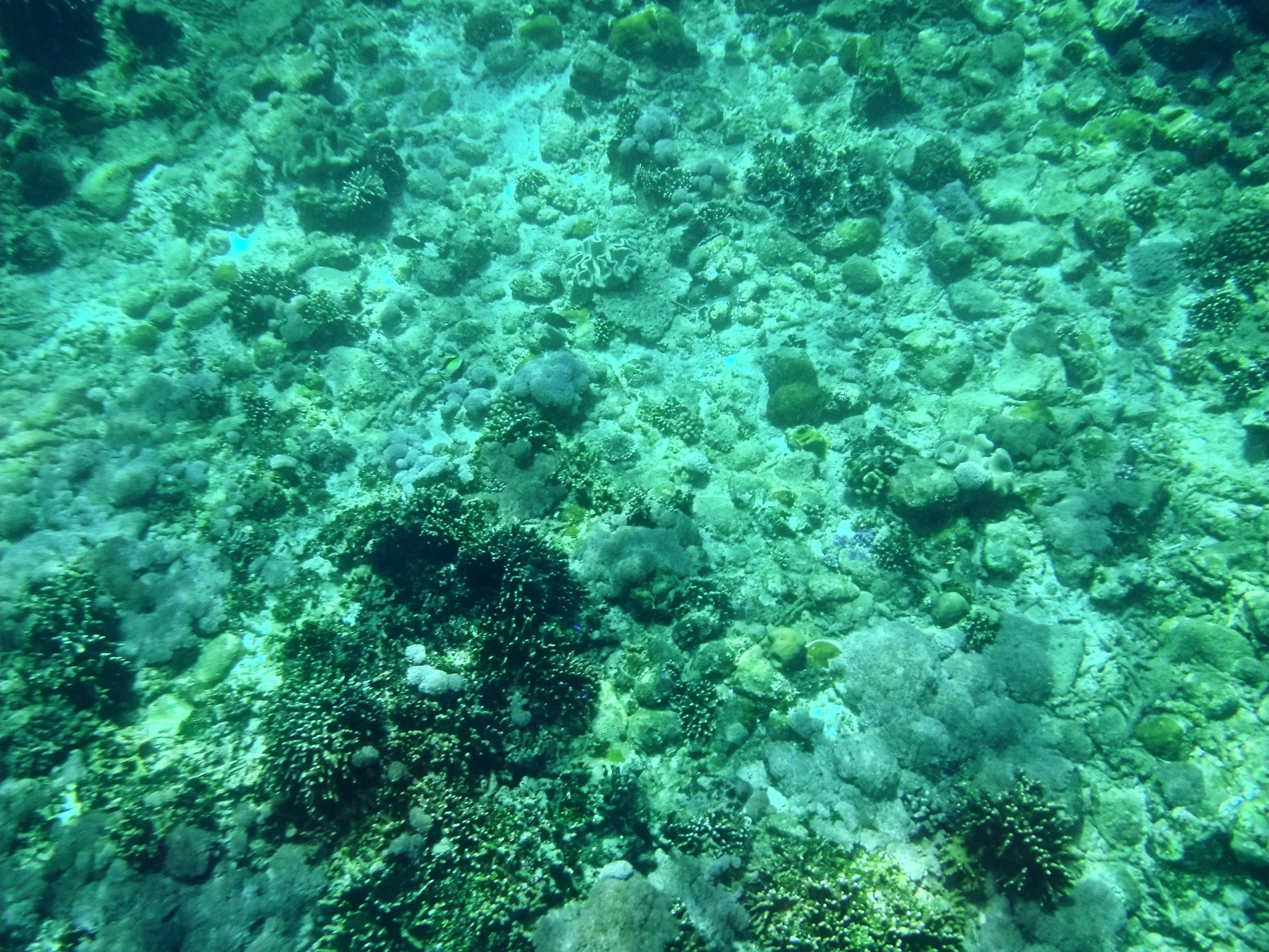 DSCF6041.jpg