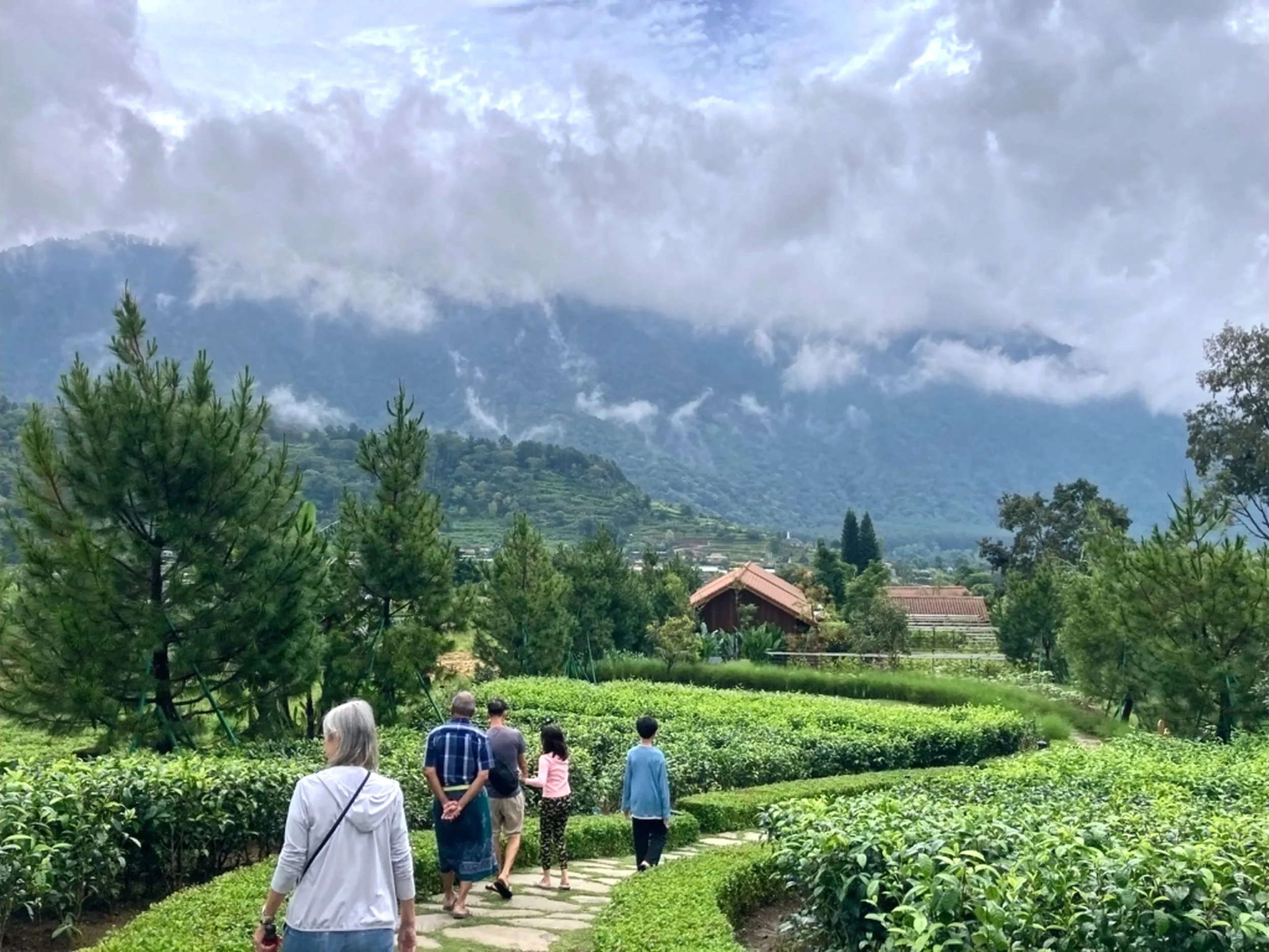 A wander in the gardens of an eco-hotel.