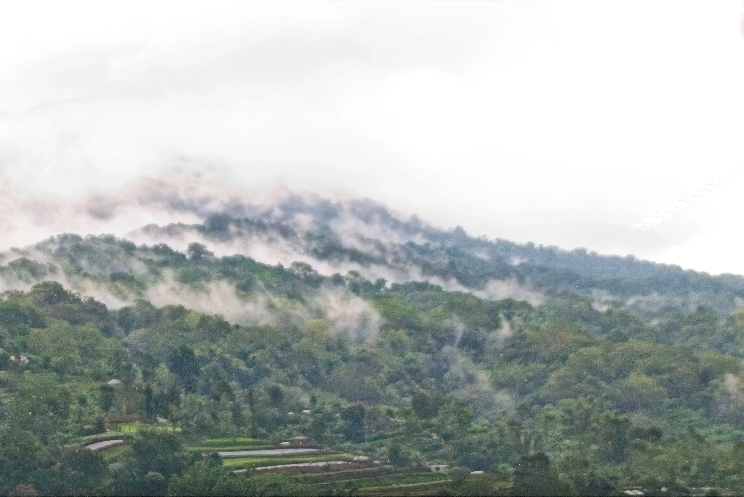 Lots of mist on the mountainside