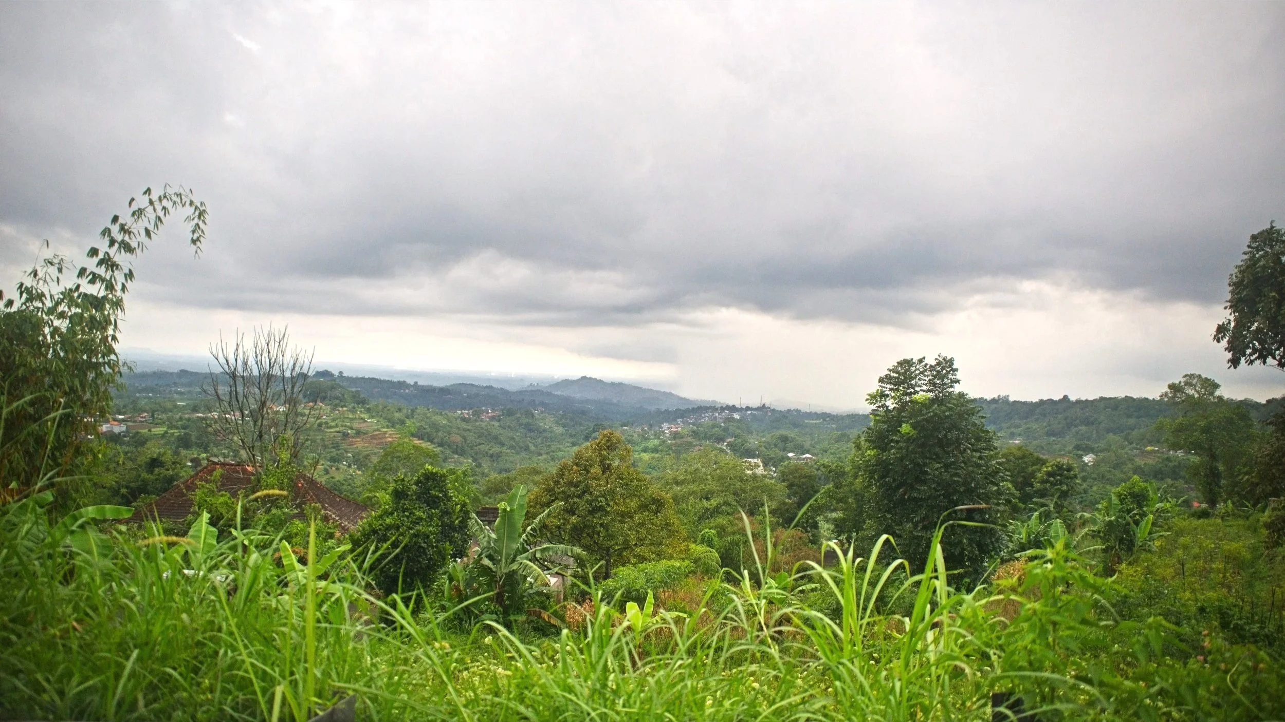 DSC_1357.jpg