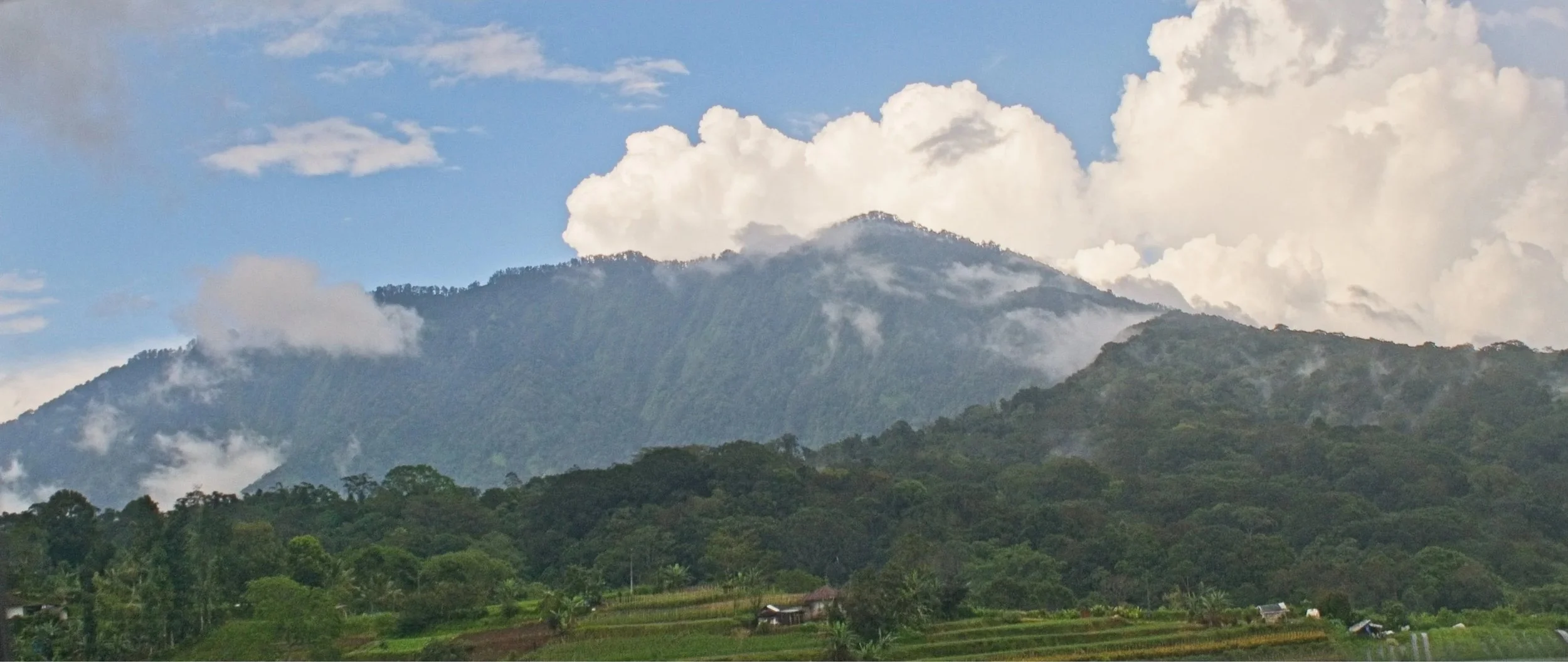 DSC_1362.jpg