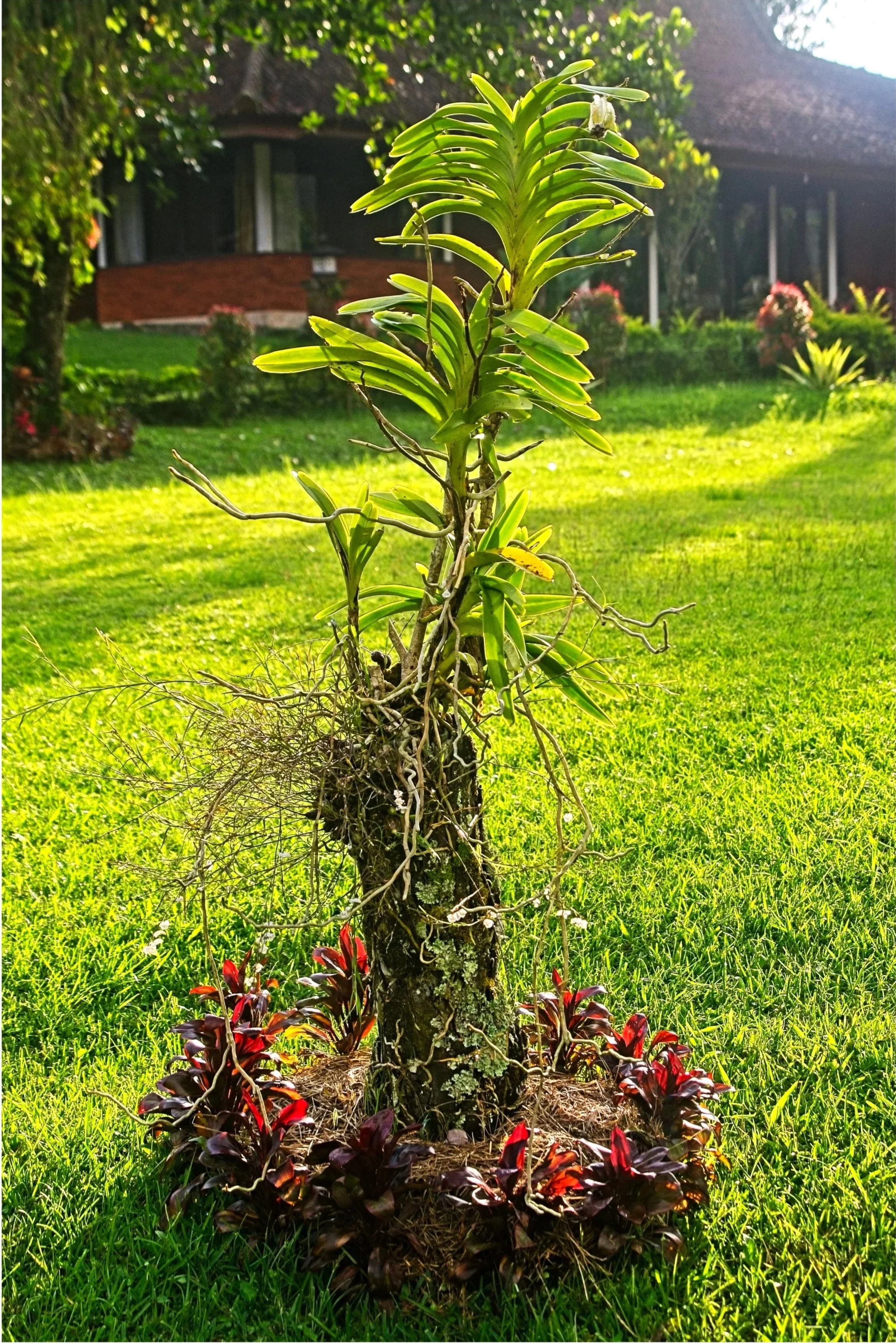 DSC_1384.jpg