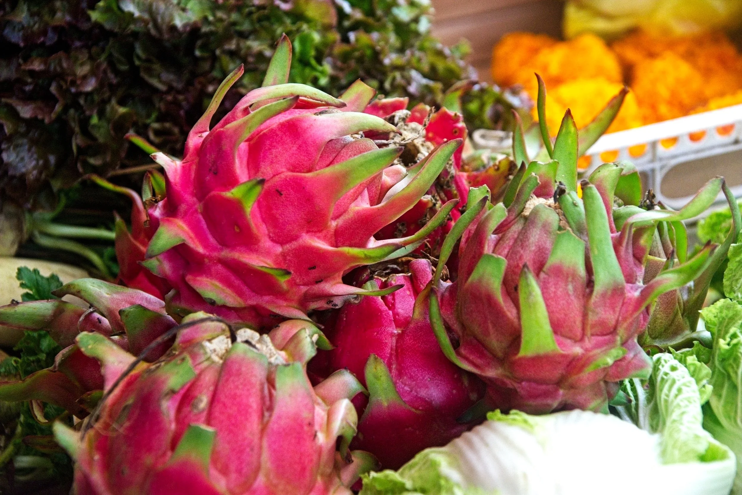 Fresh vegetables