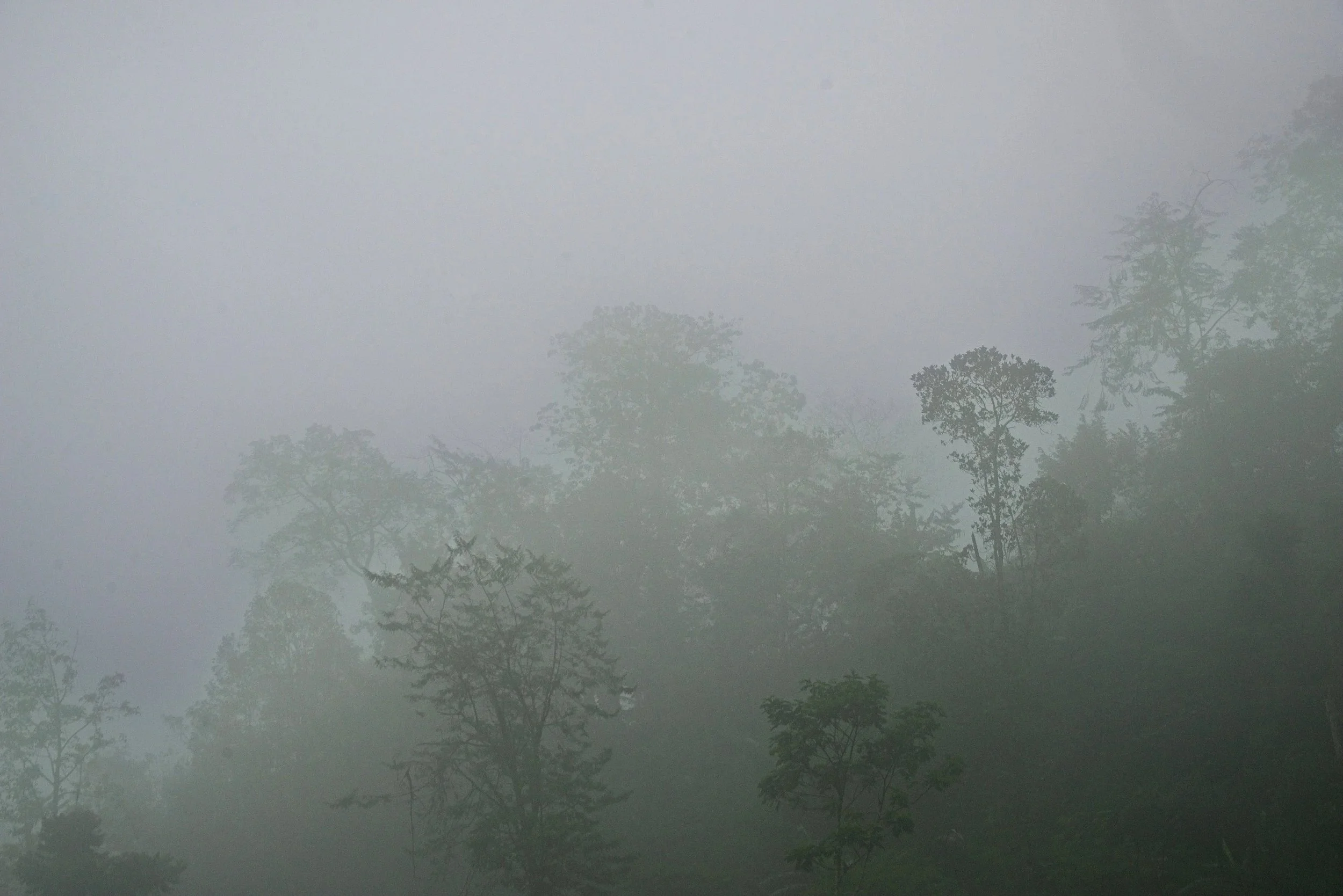 DSC_1454.jpg