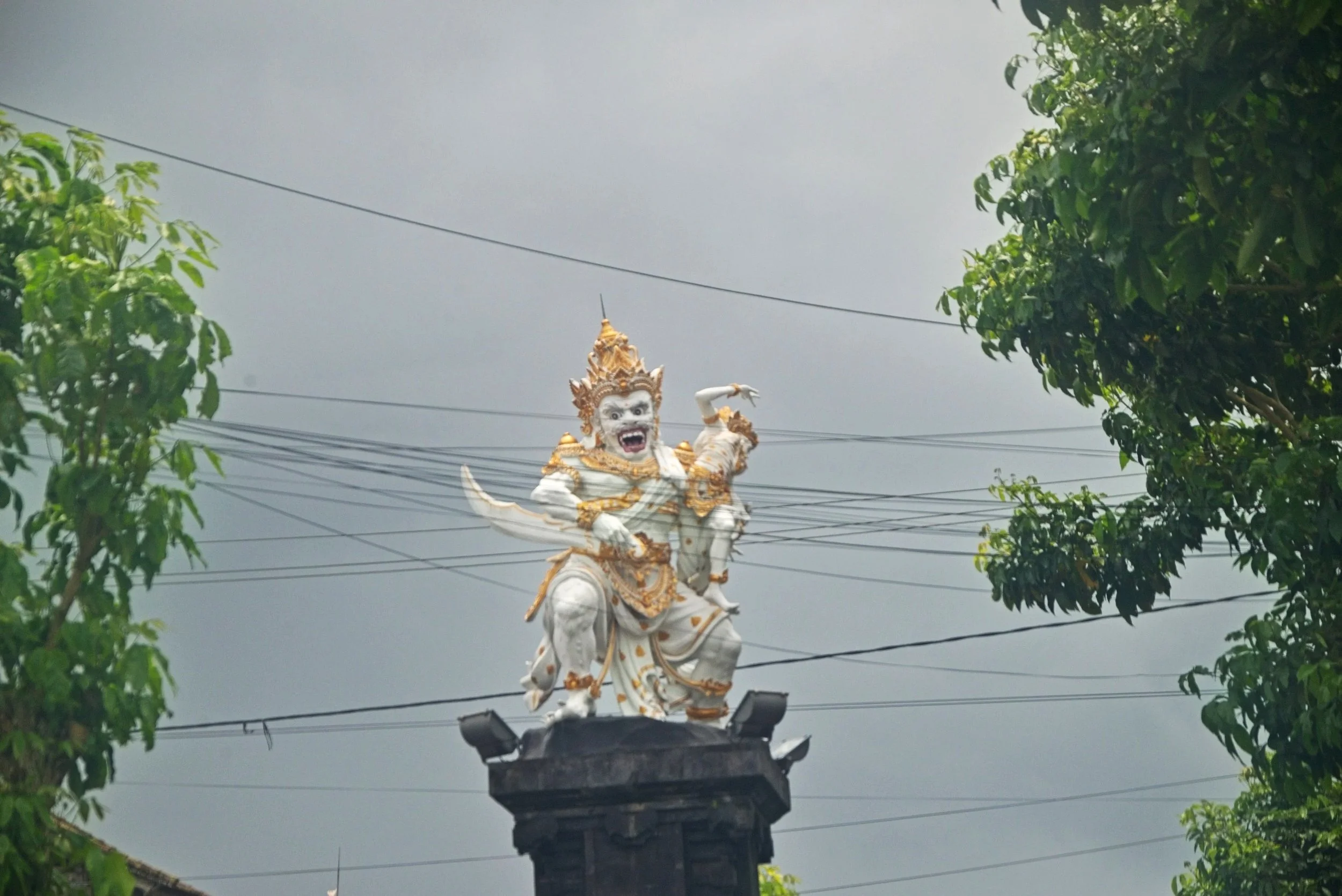 DSC_1471.jpg