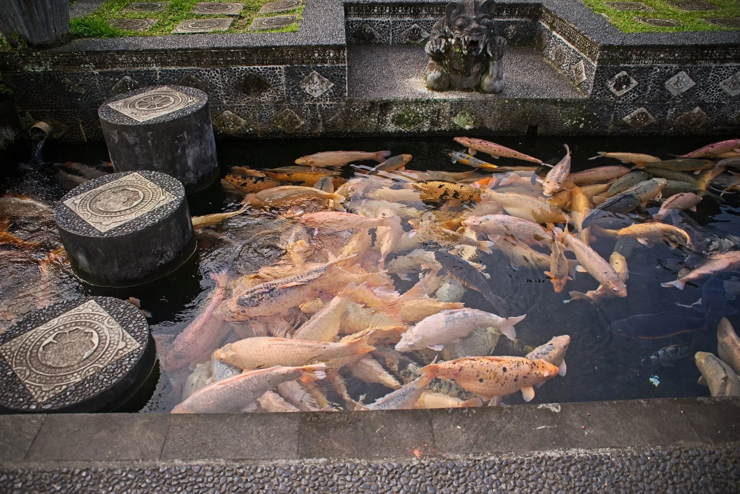 DSC_1168.jpg