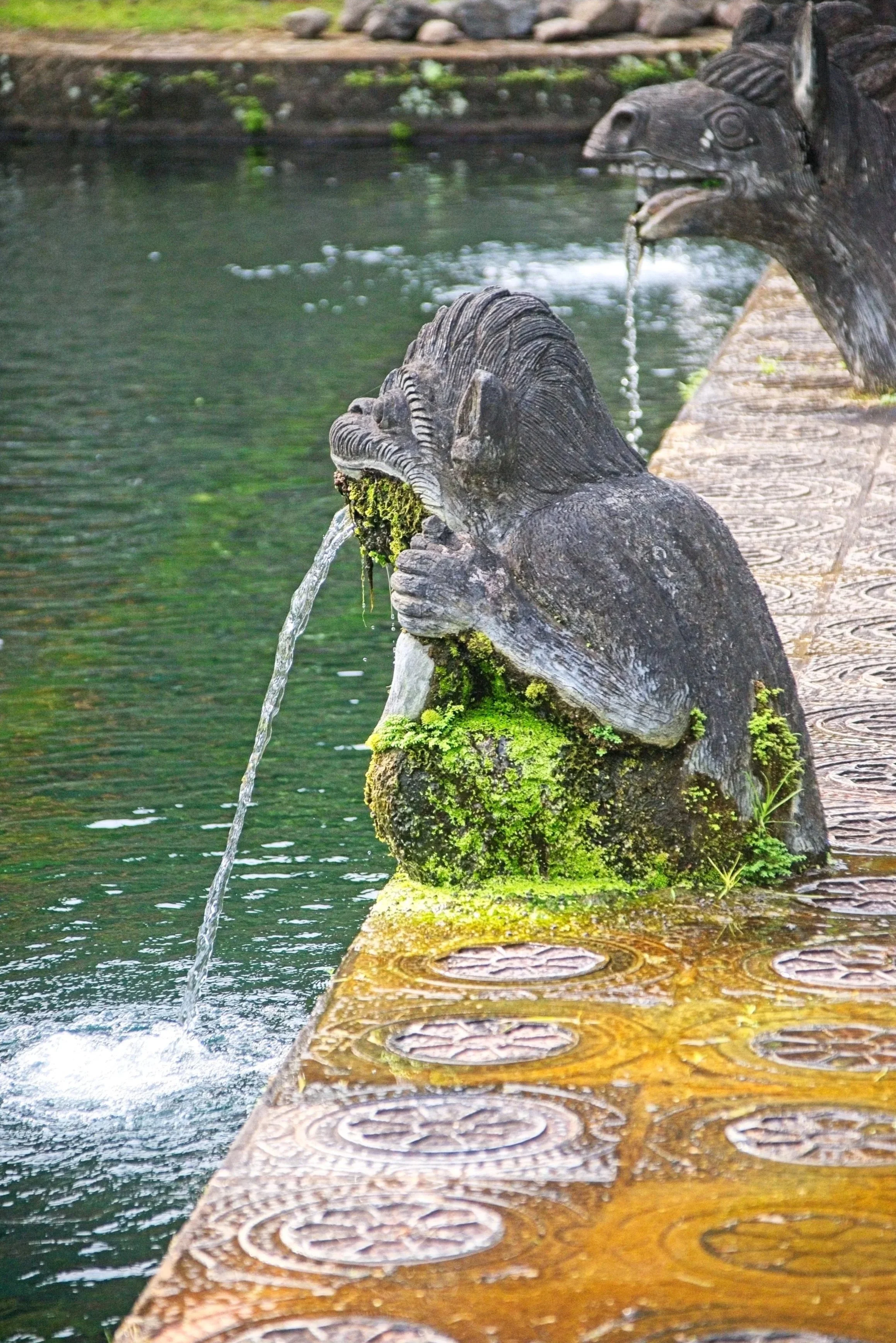 DSC_1172.jpg