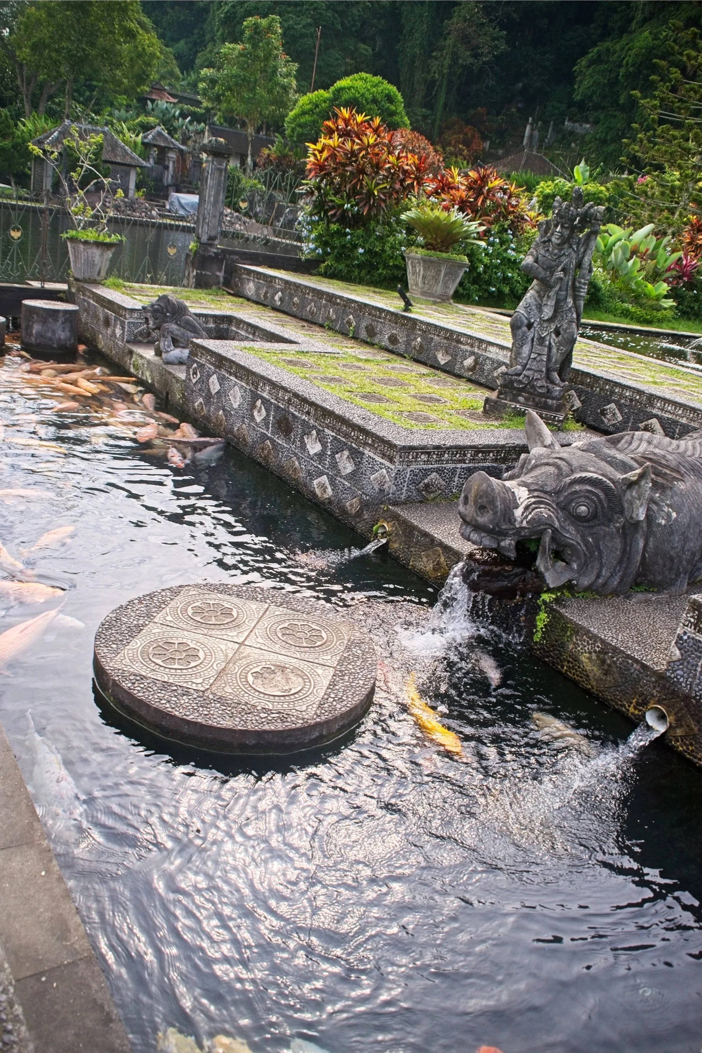 DSC_1167.jpg