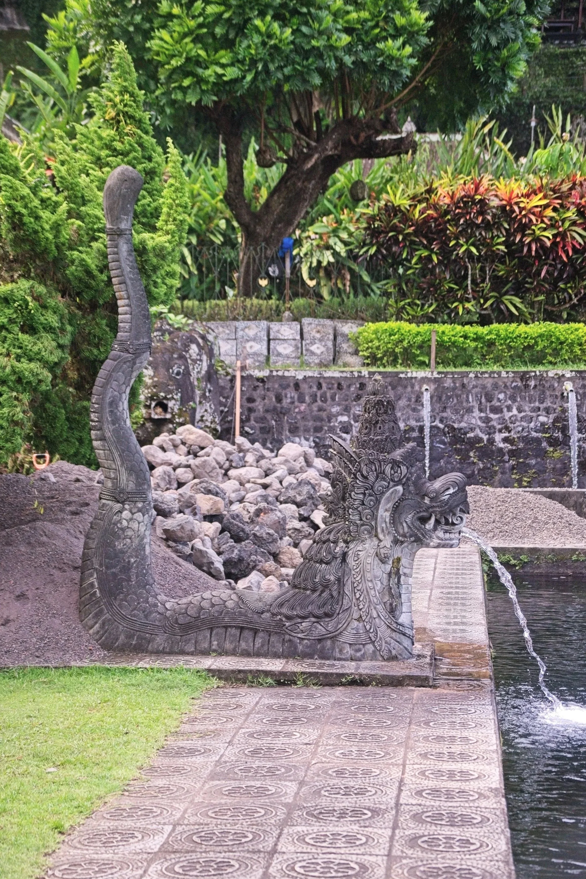 DSC_1176.jpg