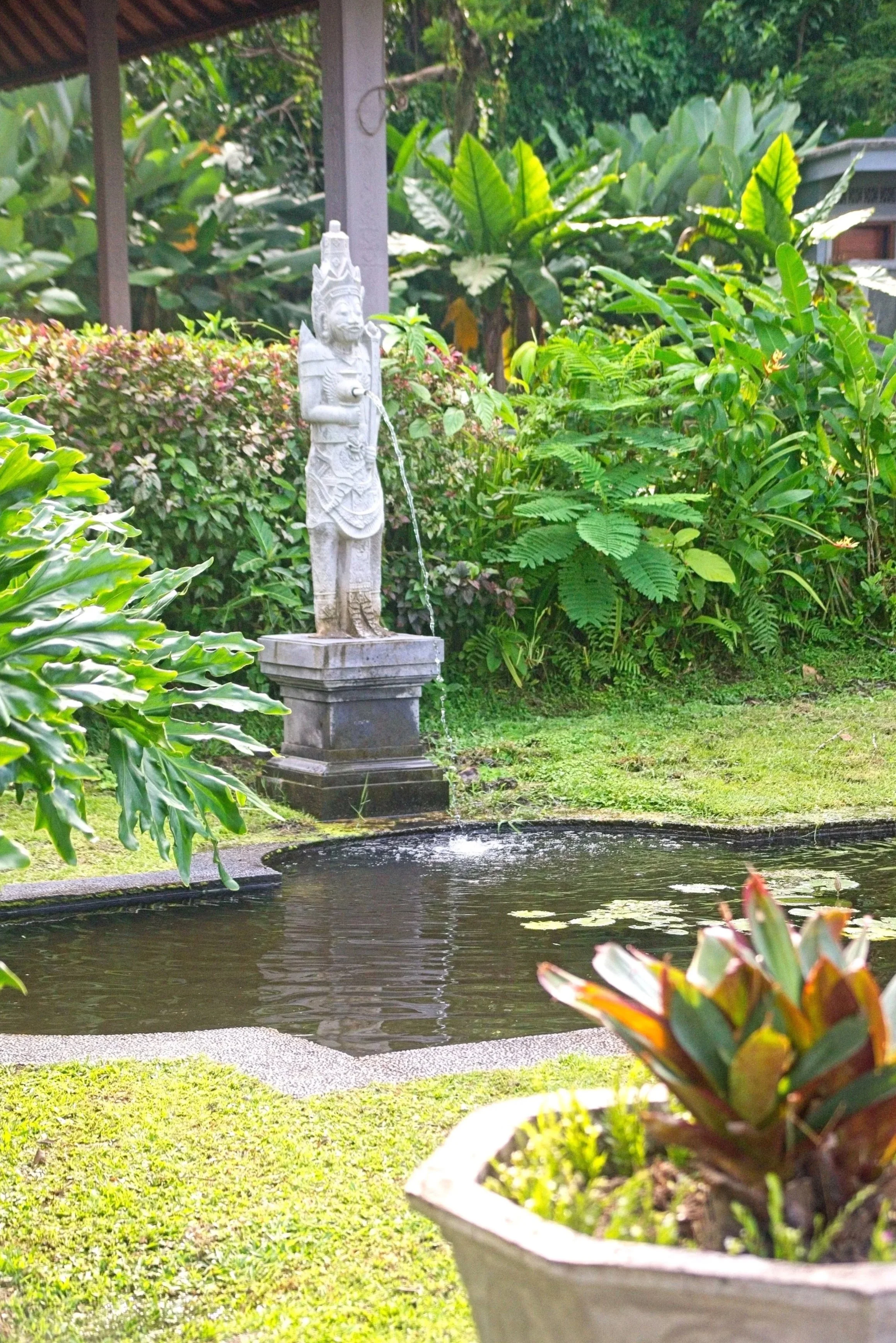 DSC_1180.jpg