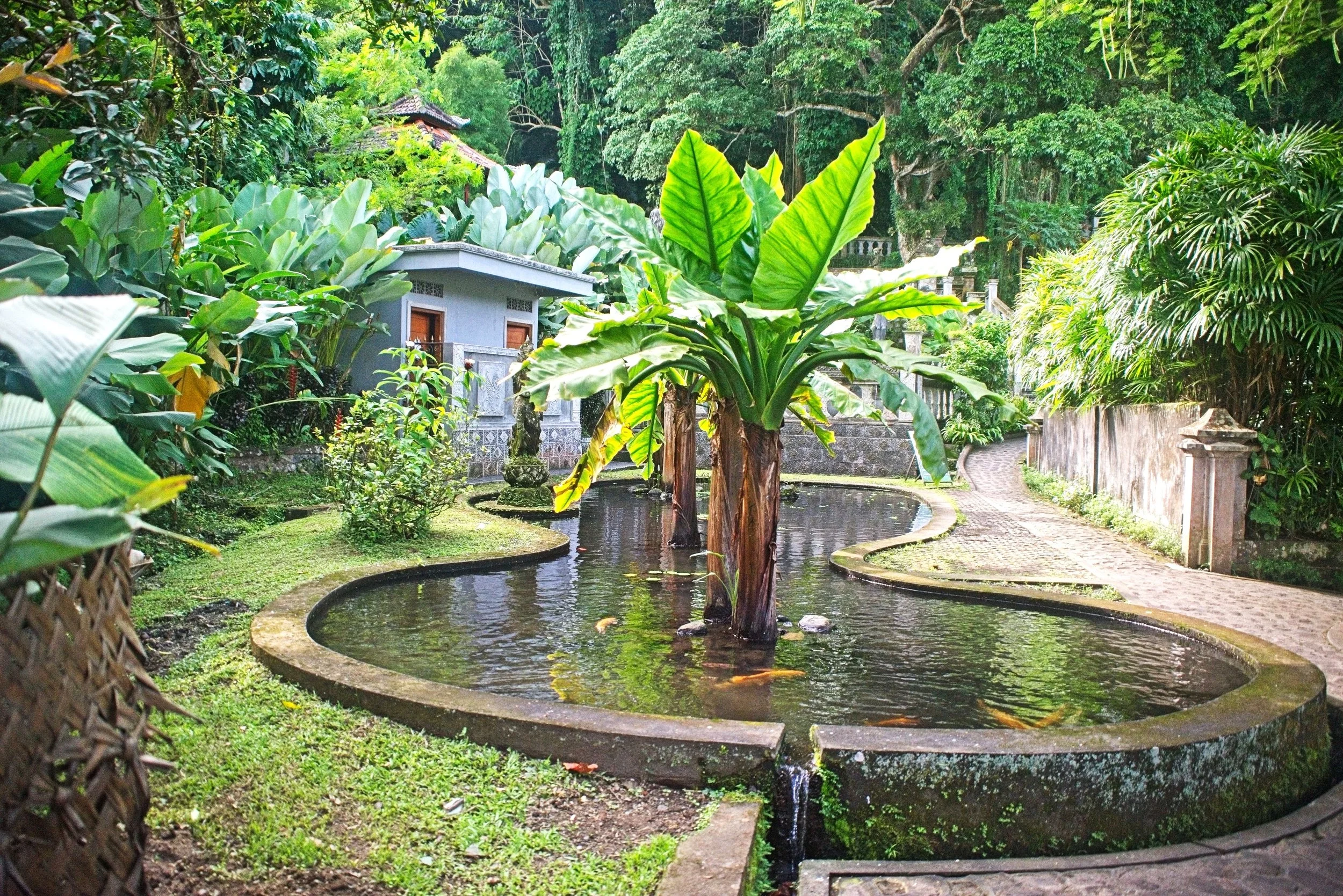 DSC_1185.jpg