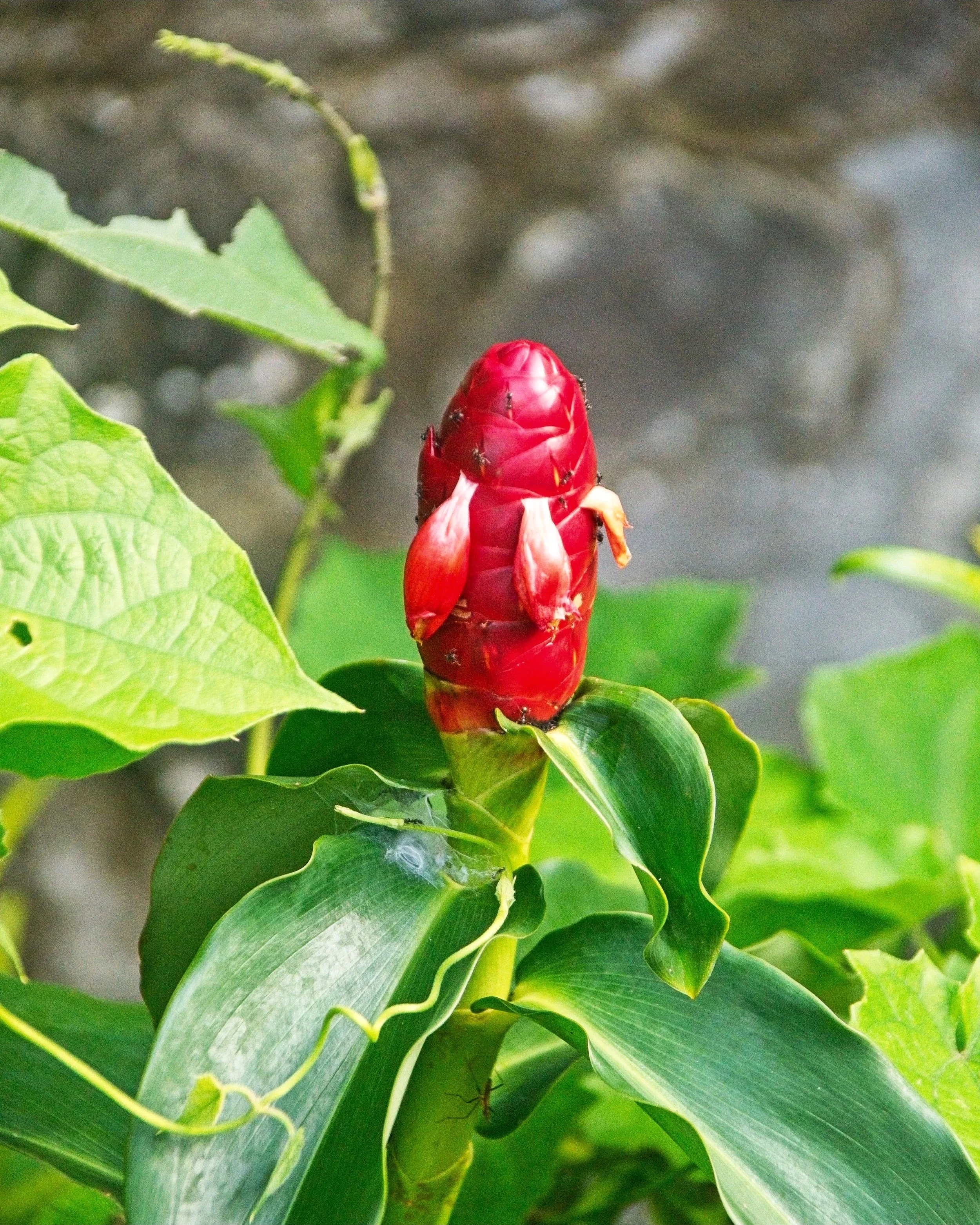 DSC_1202.jpg