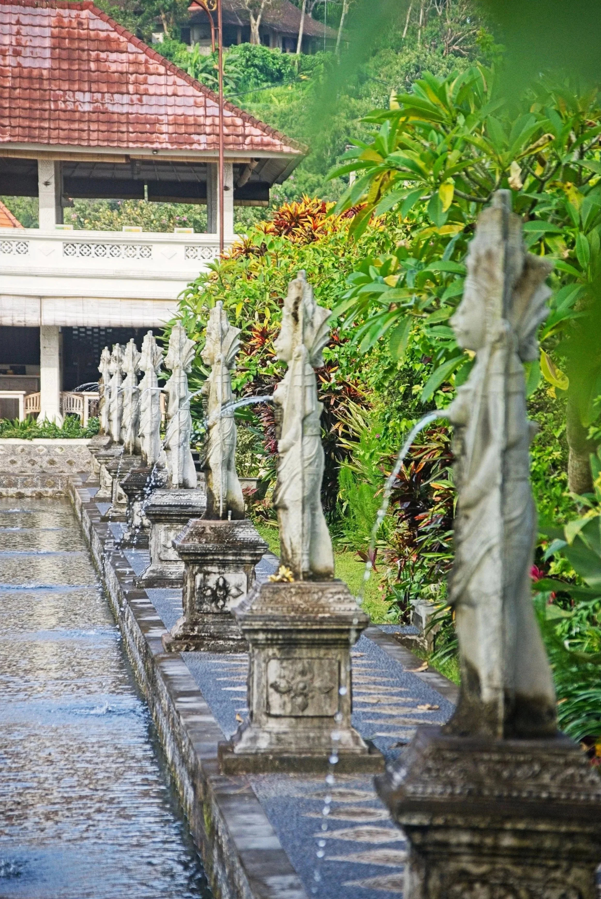 DSC_1204.jpg