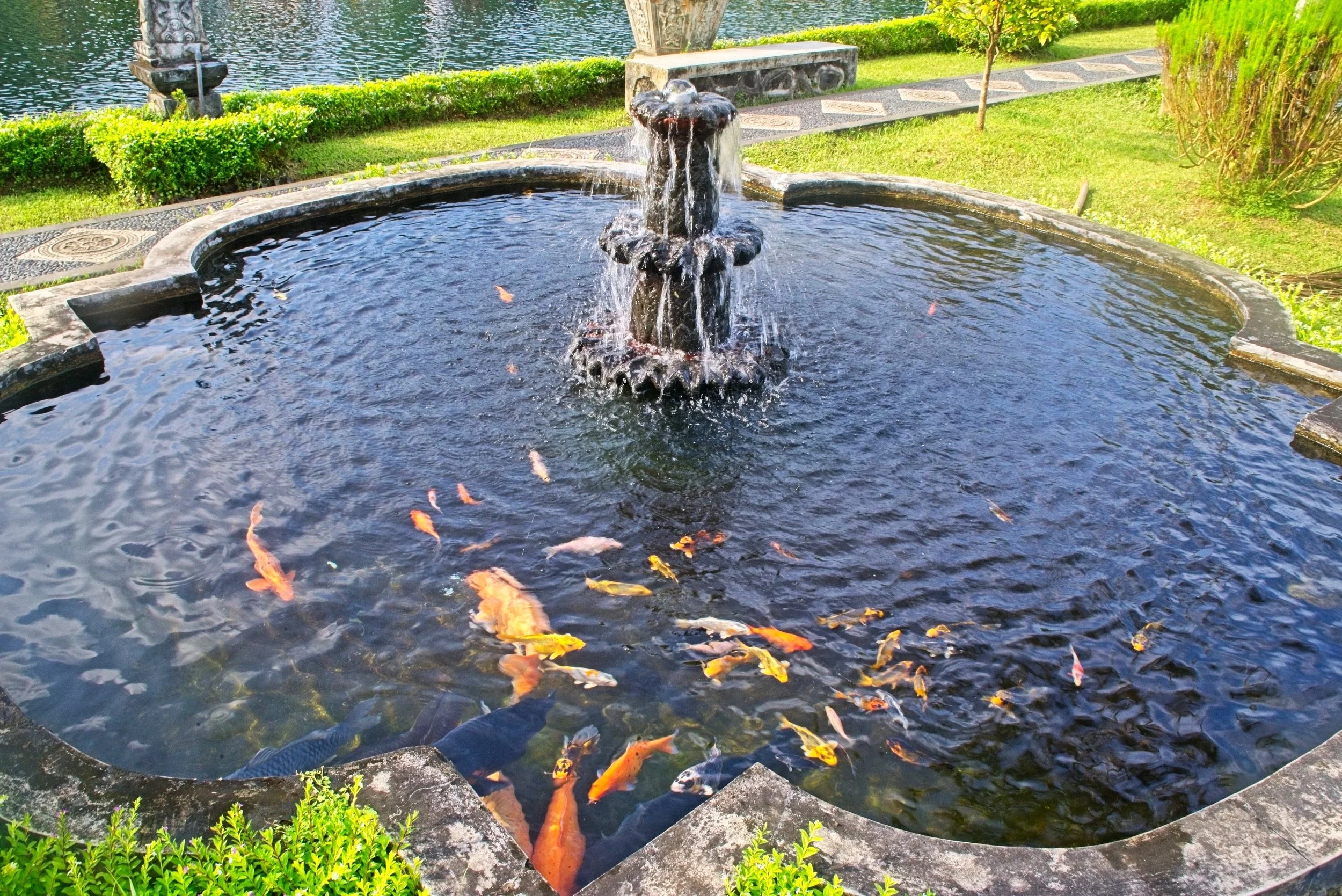 DSC_1210.jpg