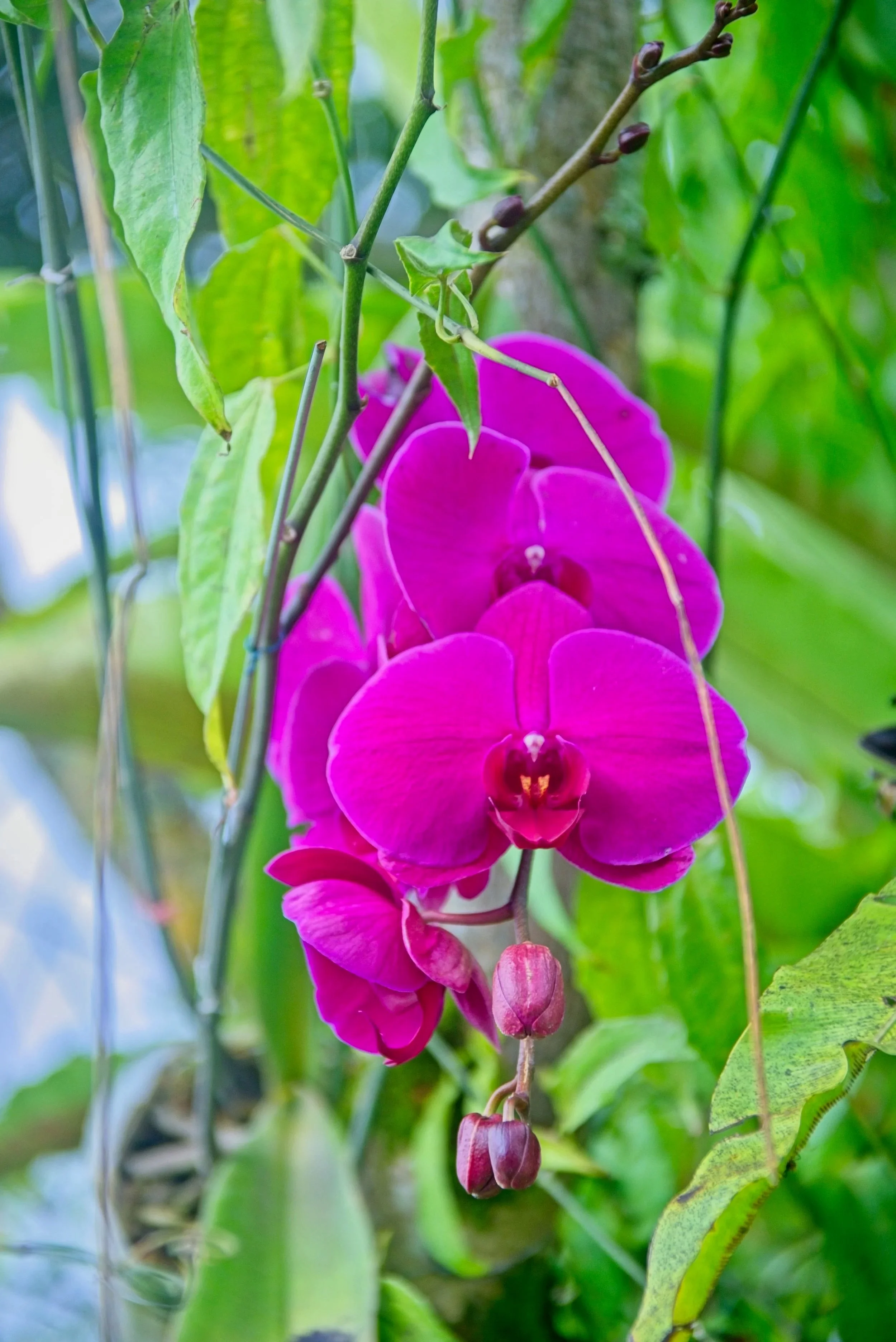DSC_1424.jpg