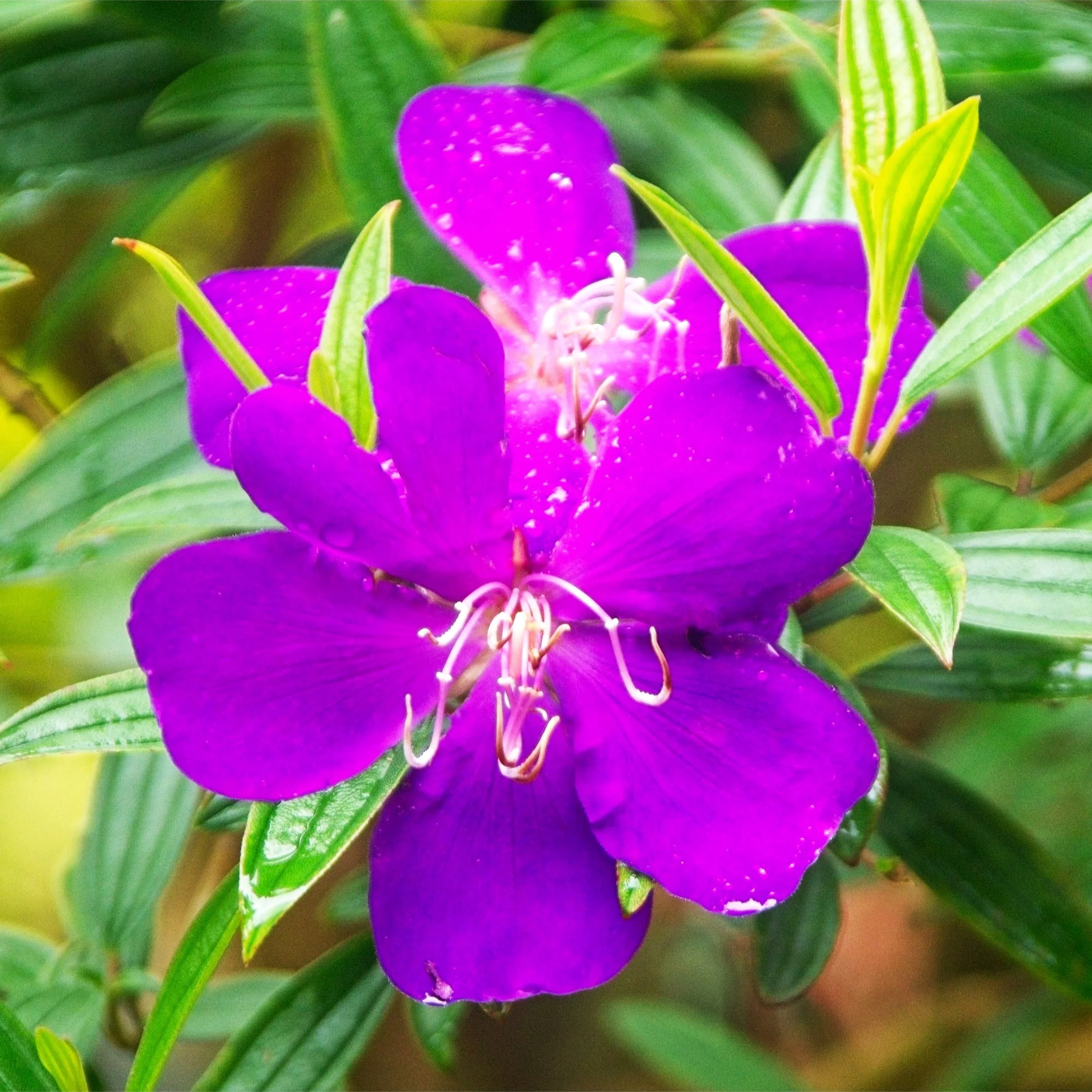 DSC_1446.jpg