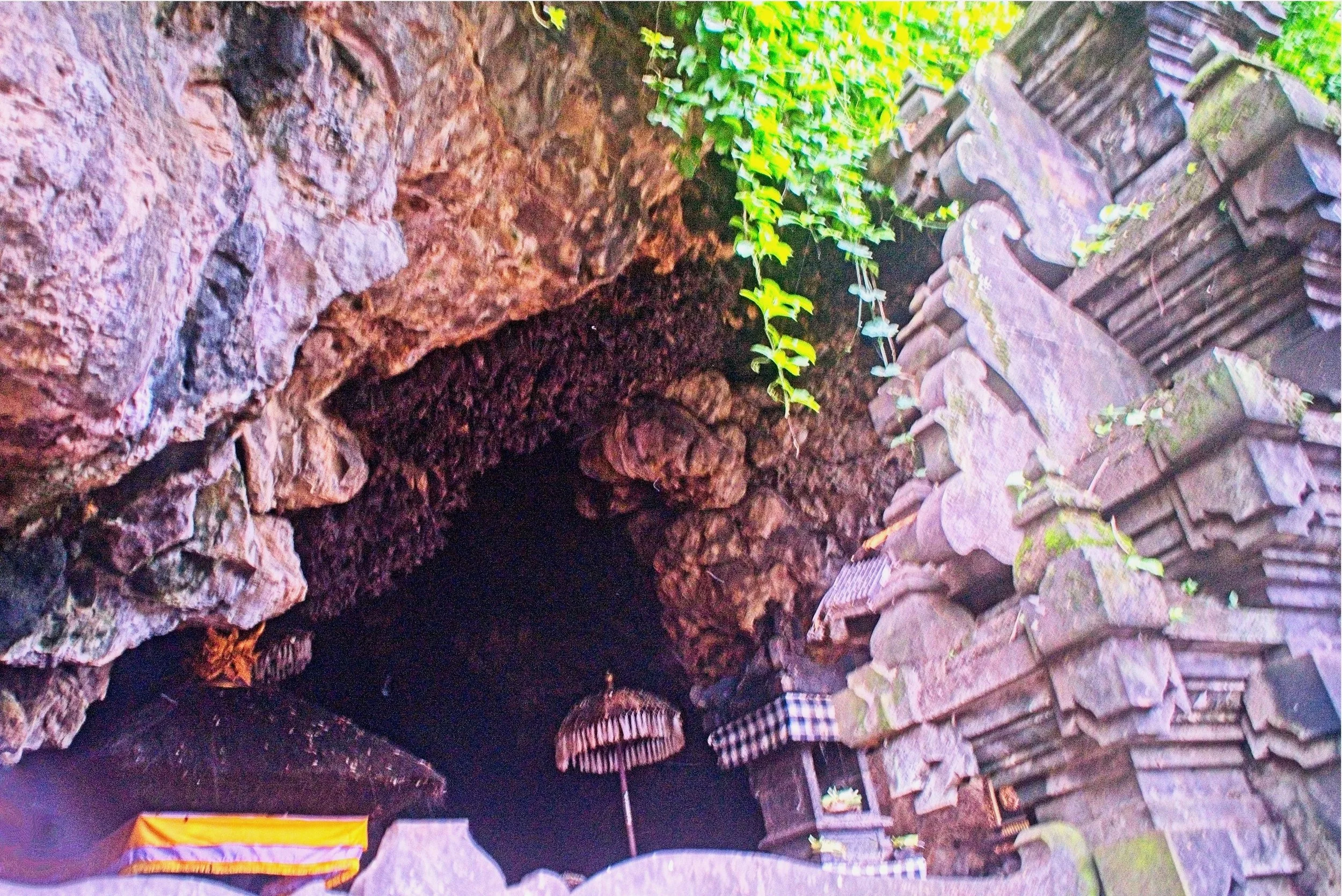 The bats can be seen as a dark arc to the left centre of the photo