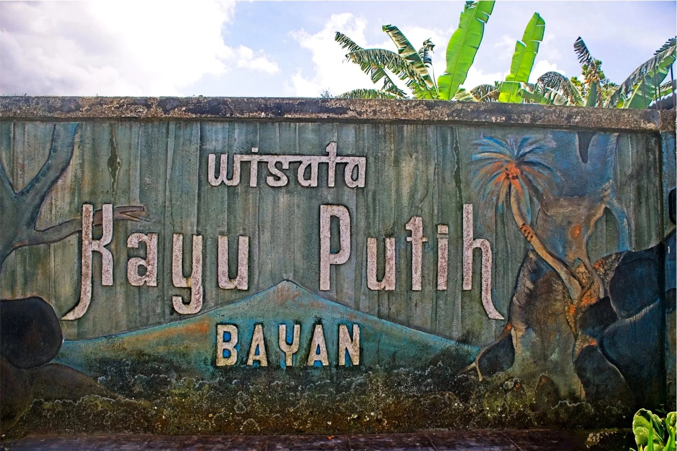 The village where the tree is located is called Bayan