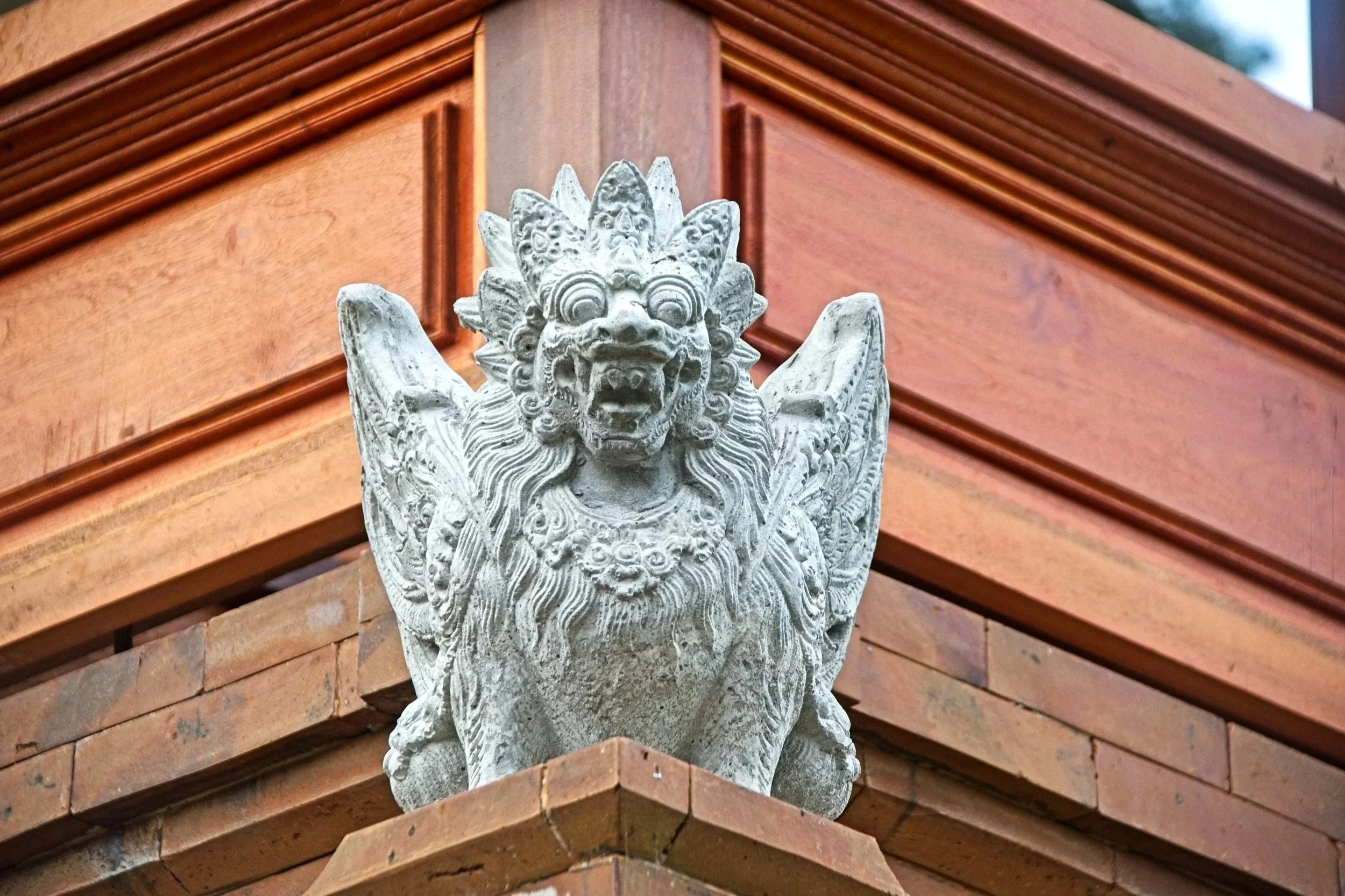 DSC_1541.jpg