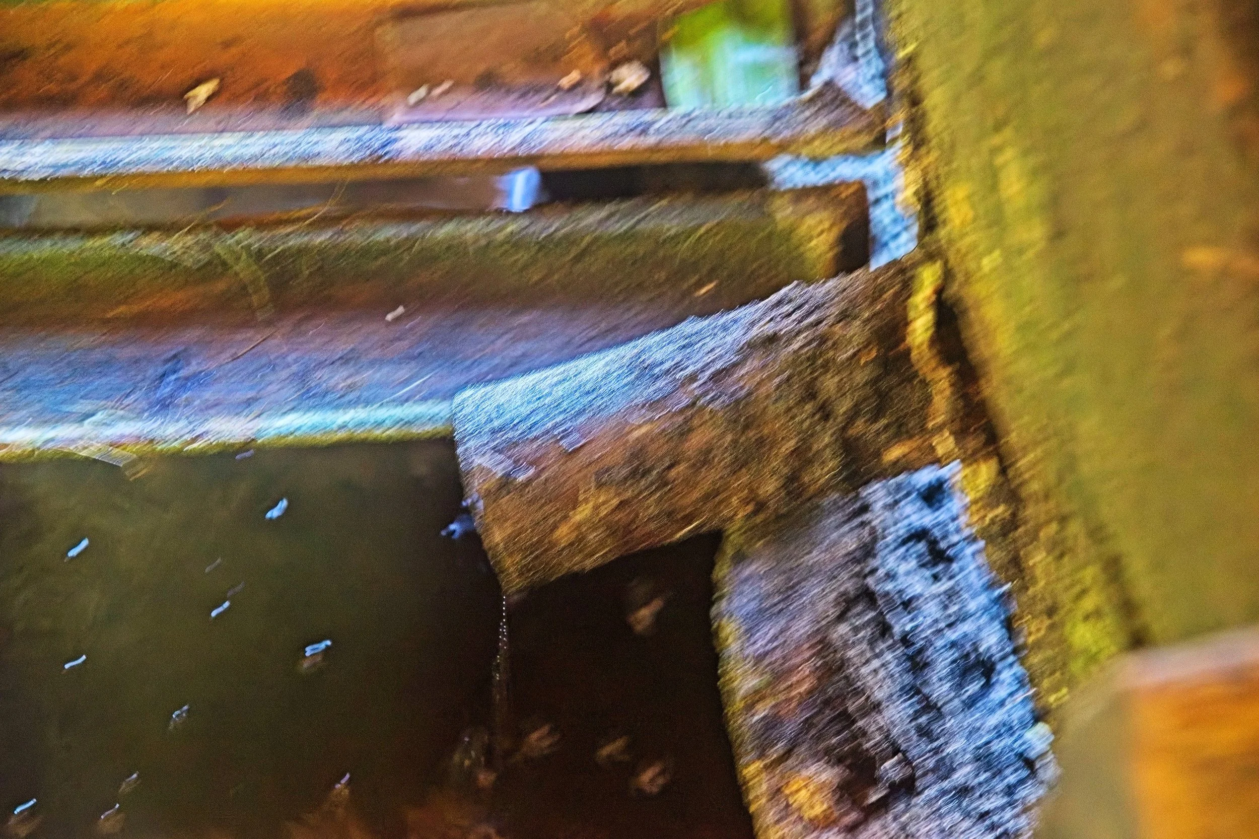 DSC_1284.jpg