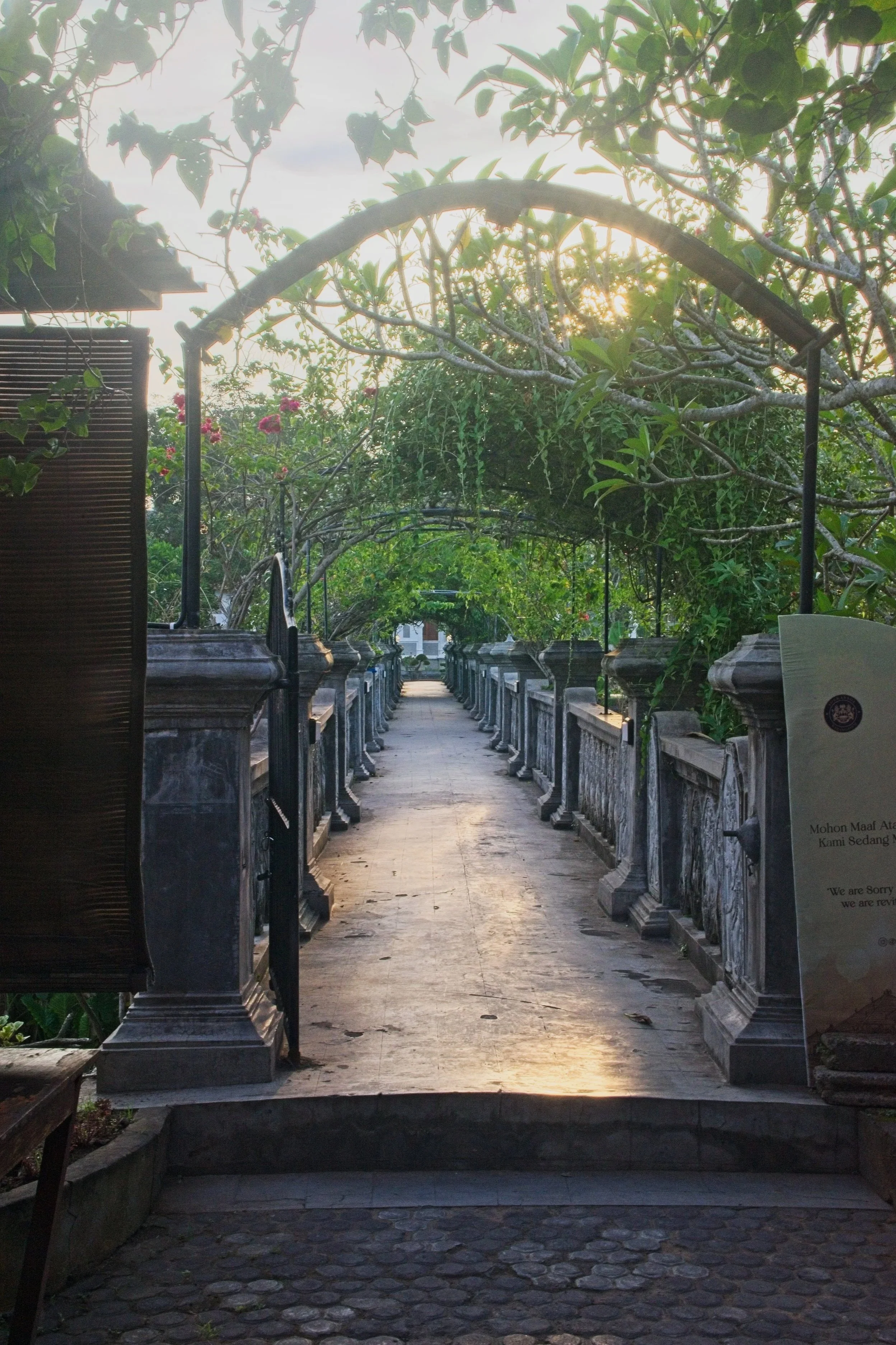 DSC_1233.jpg