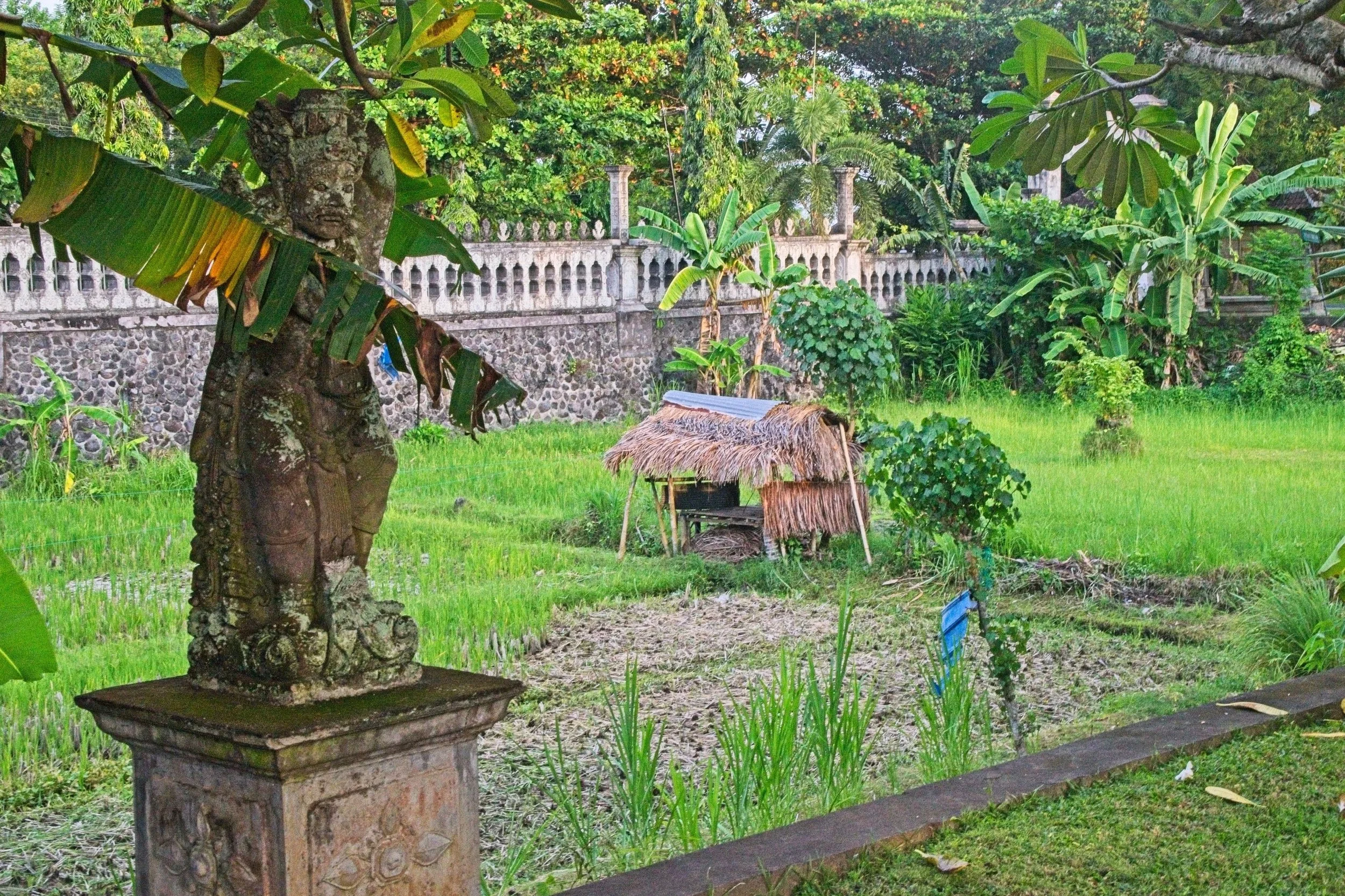 DSC_1245.jpg