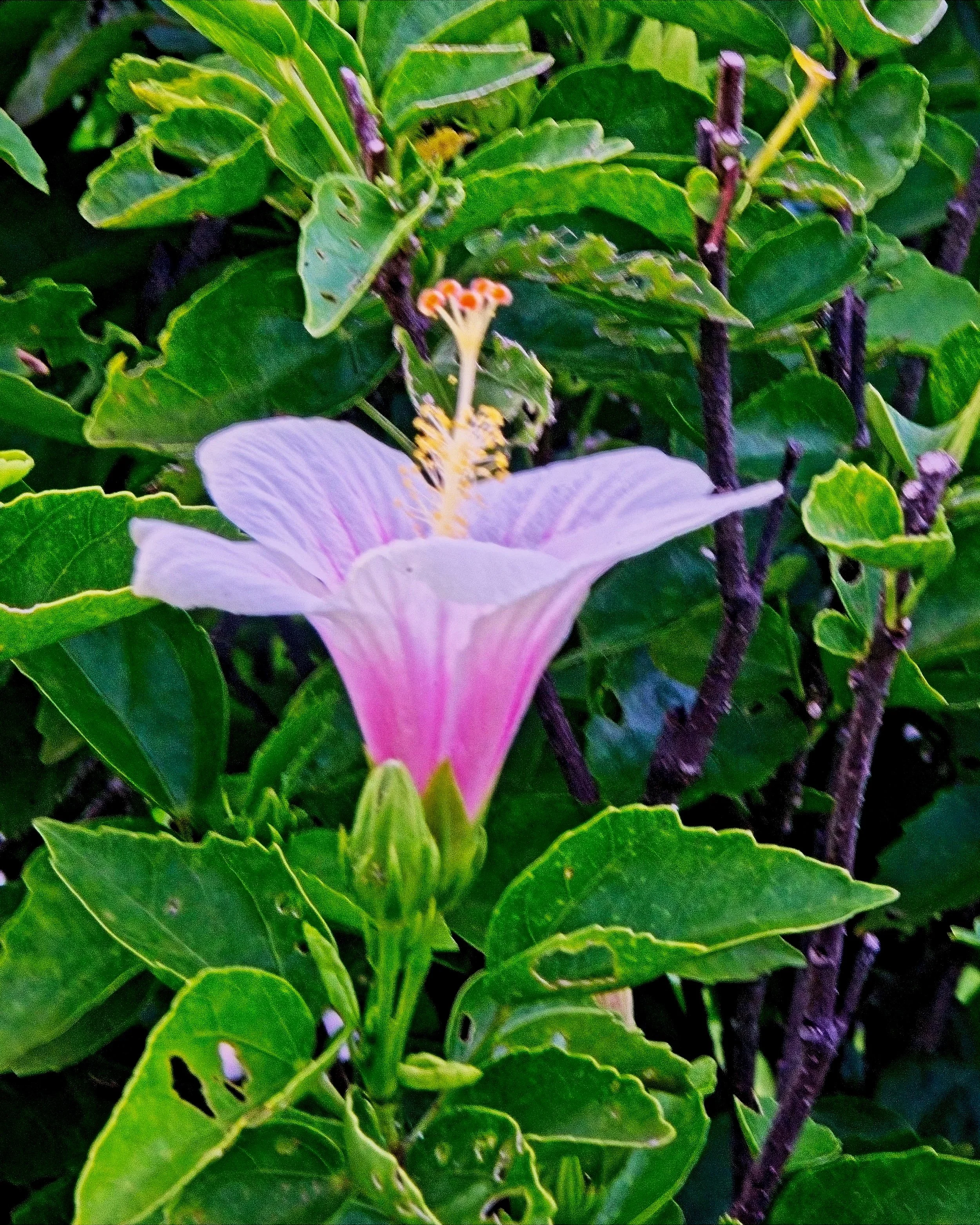 DSC_1253.jpg