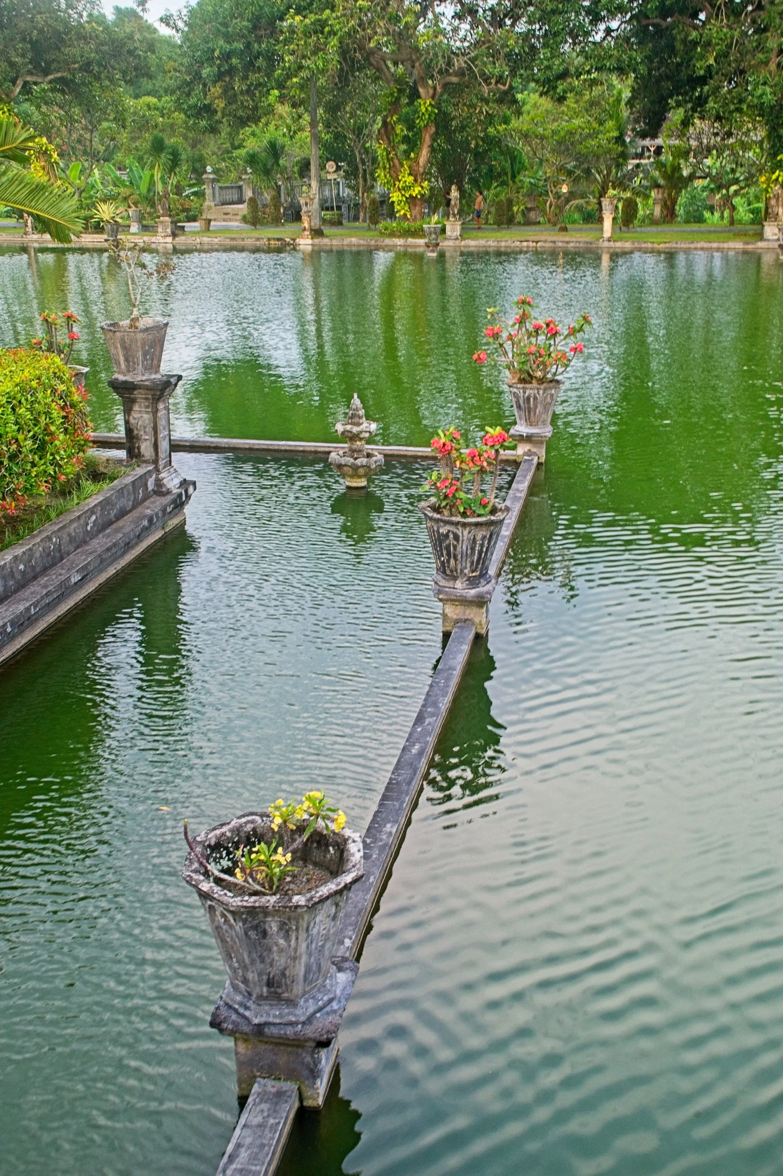 DSC_1260.jpg