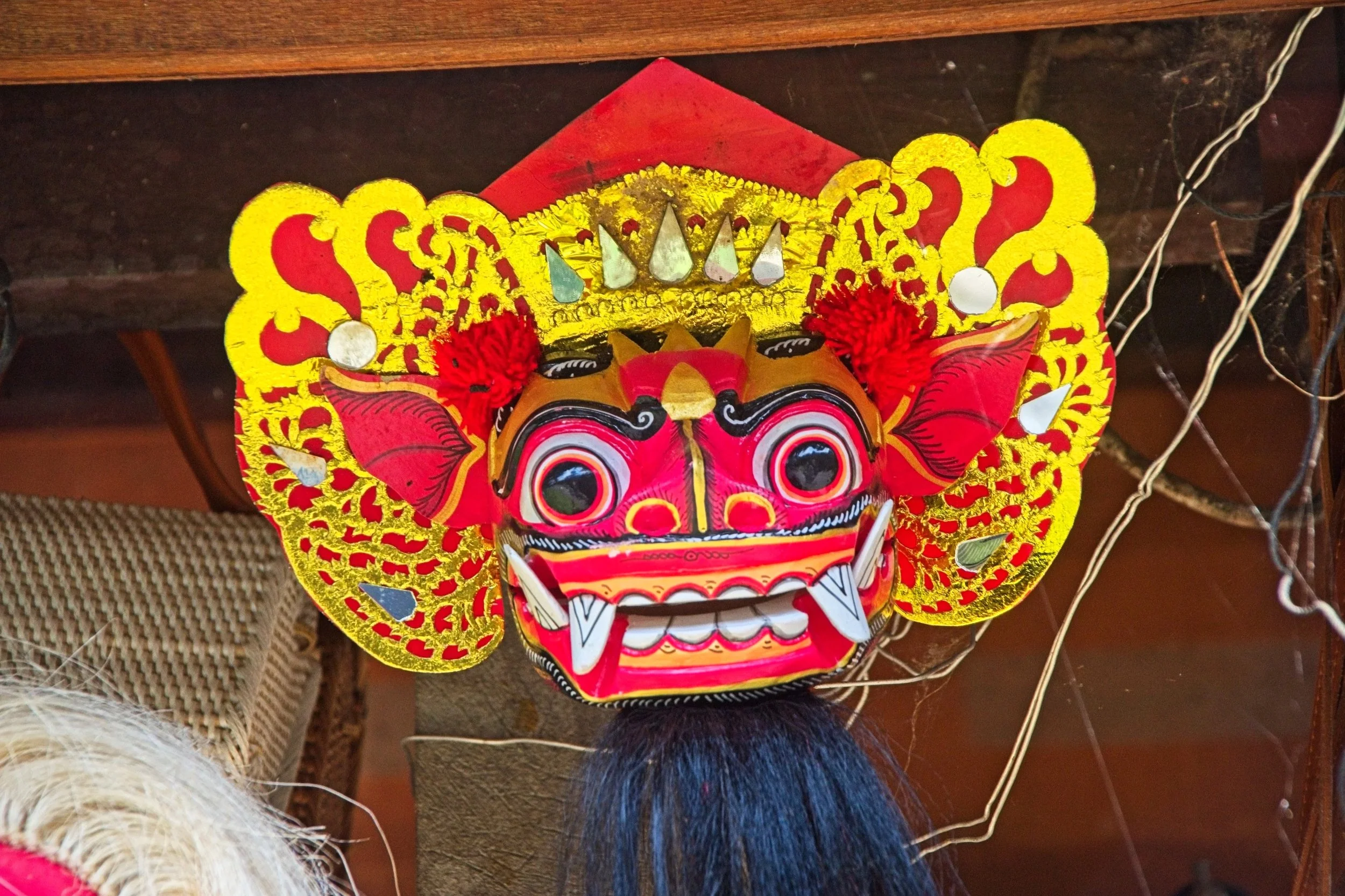 DSC_1295.jpg