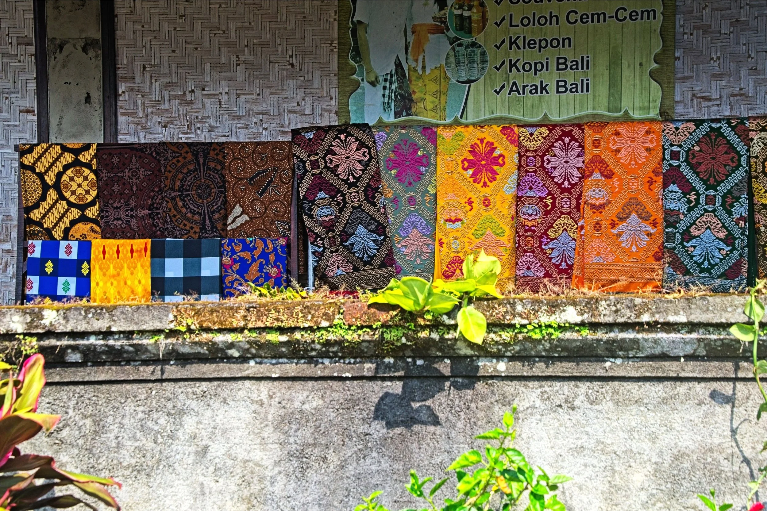 DSC_1308+1.jpg