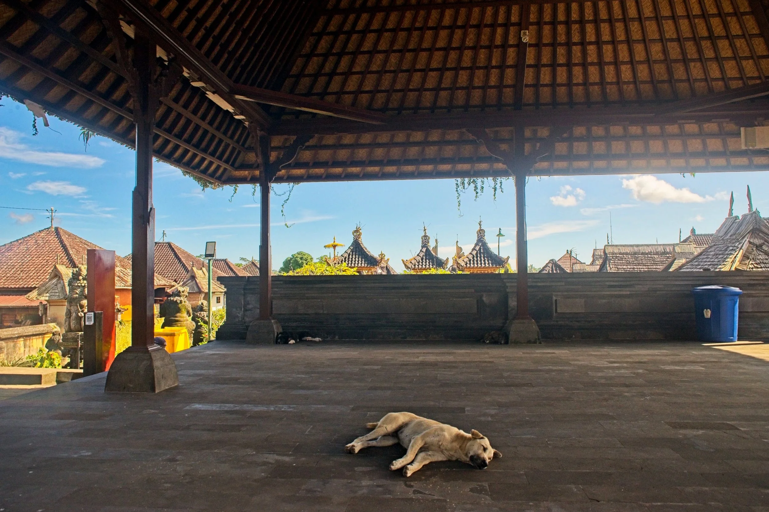 Let sleeping dogs lie...