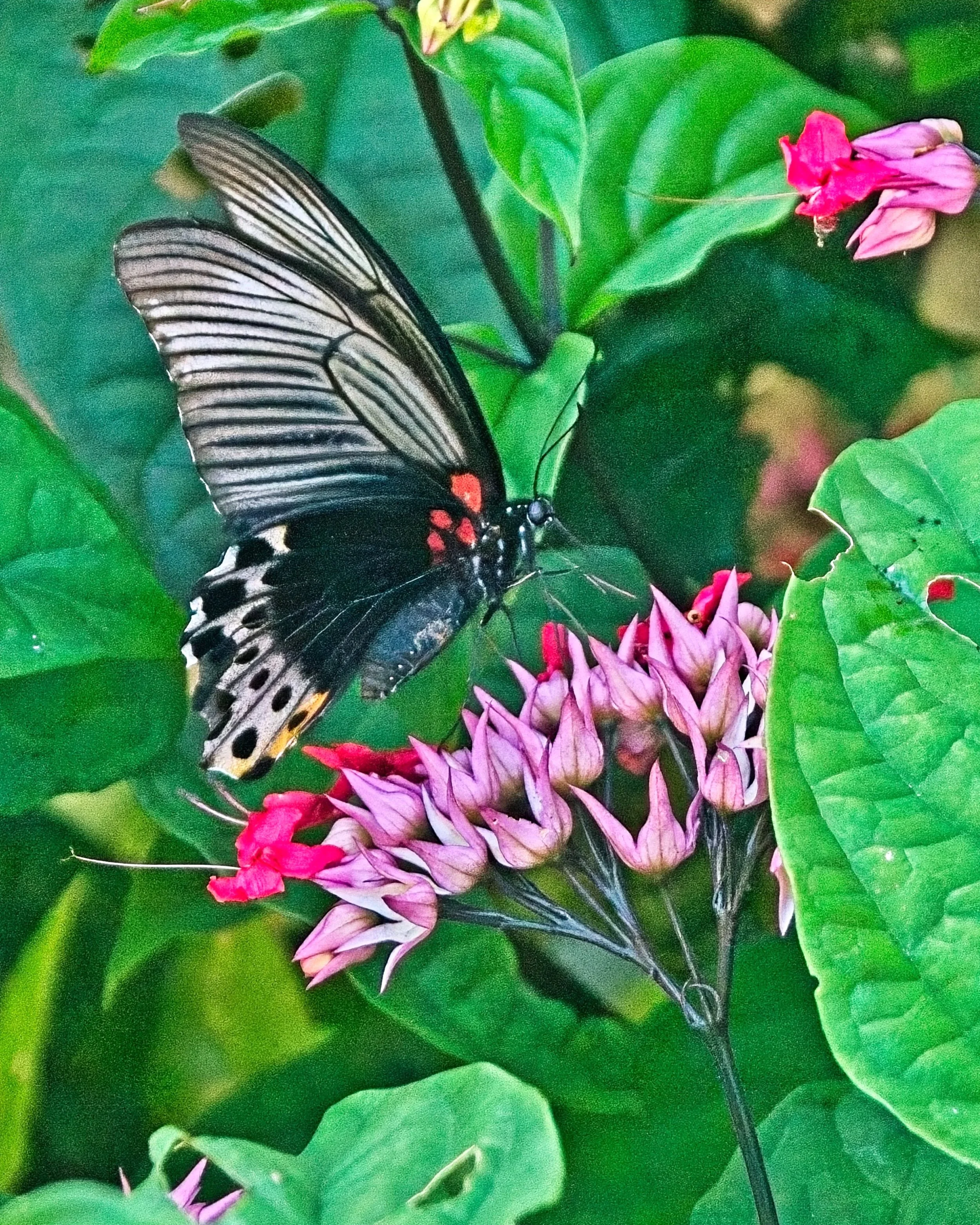 DSC_1337.jpg