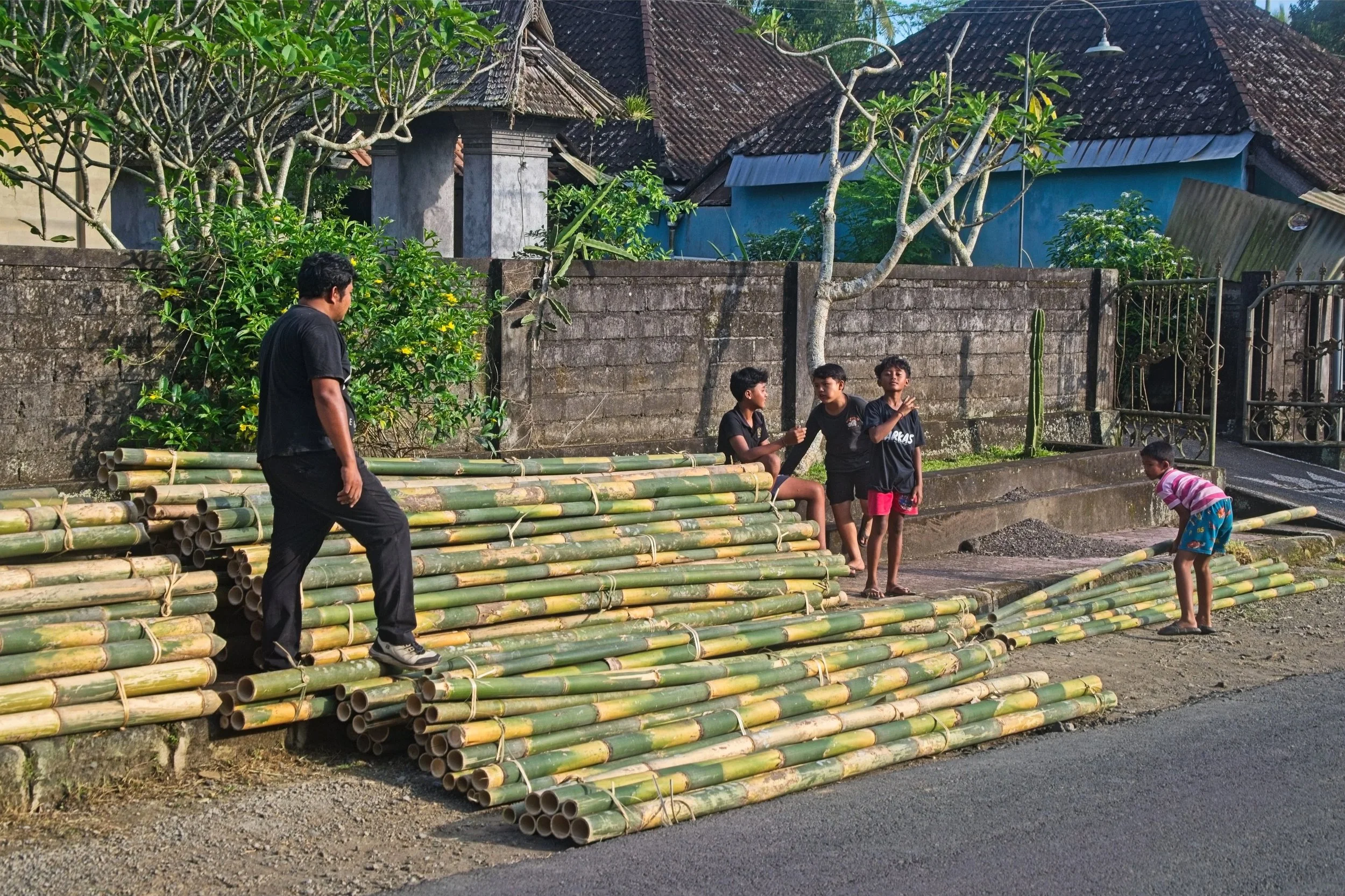 DSC_1342.jpg